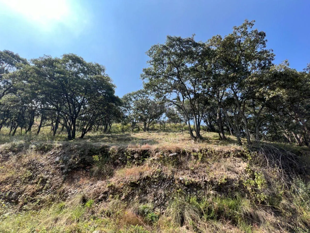 Terreno Spot2