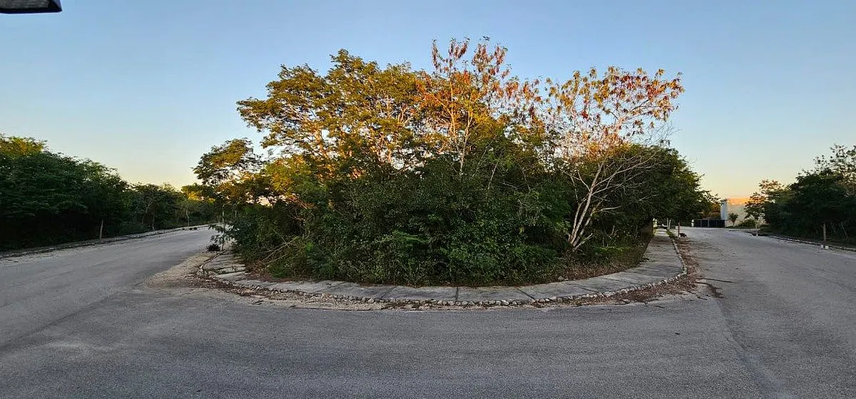 Terreno Spot2