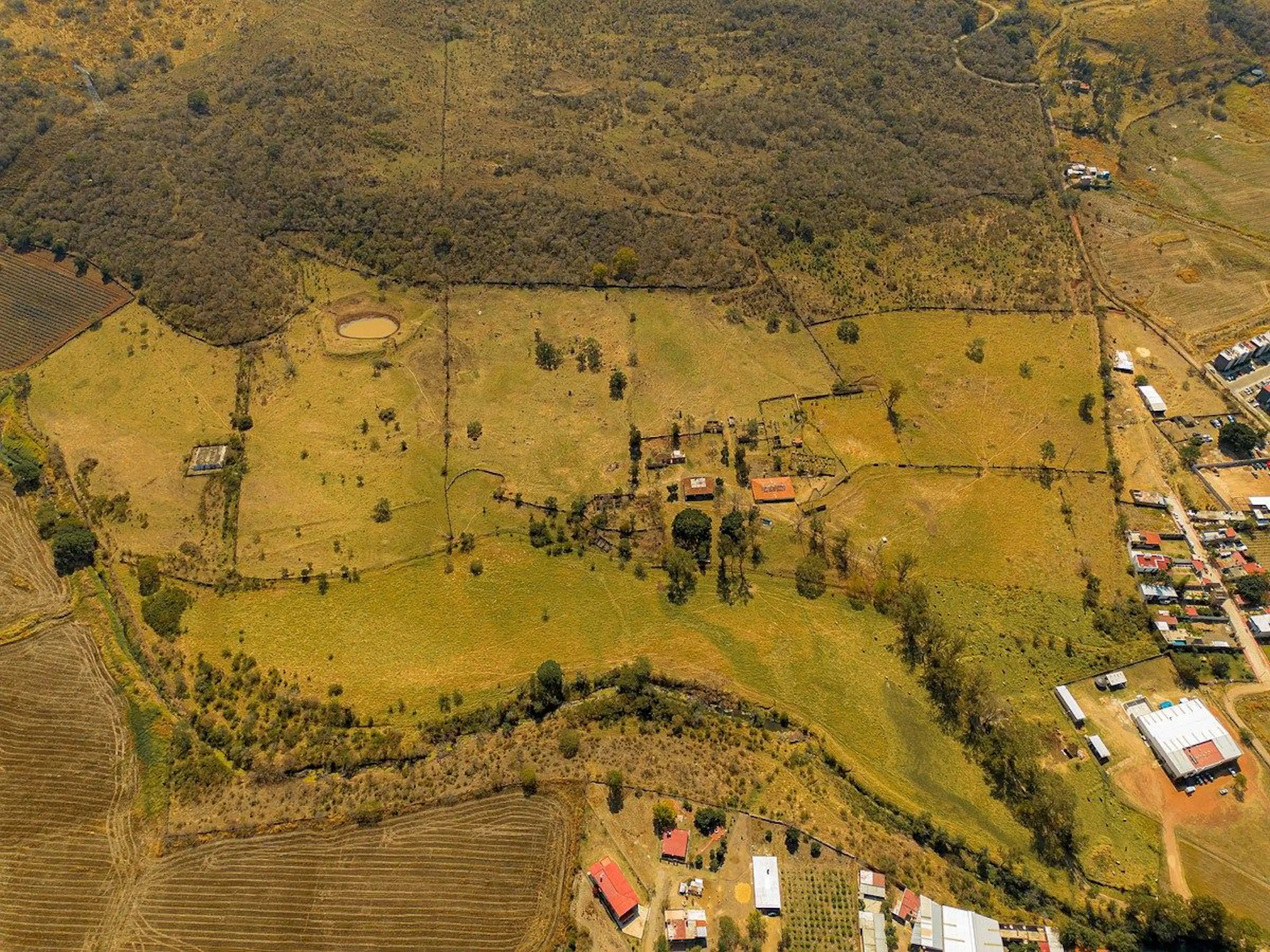TERRENO EN VENTA LA PALMA ZAPOTLANEJO