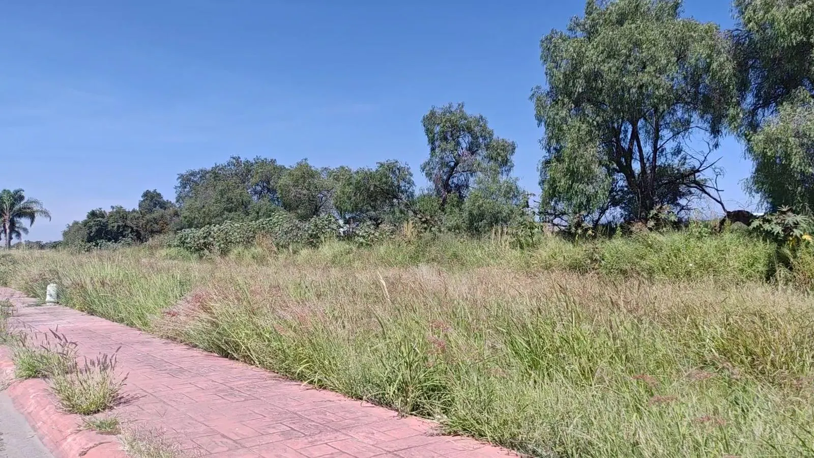 Terreno Spot2