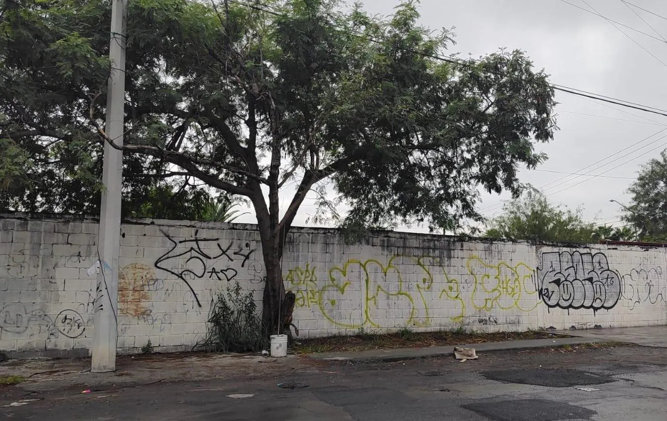 Terreno Spot2