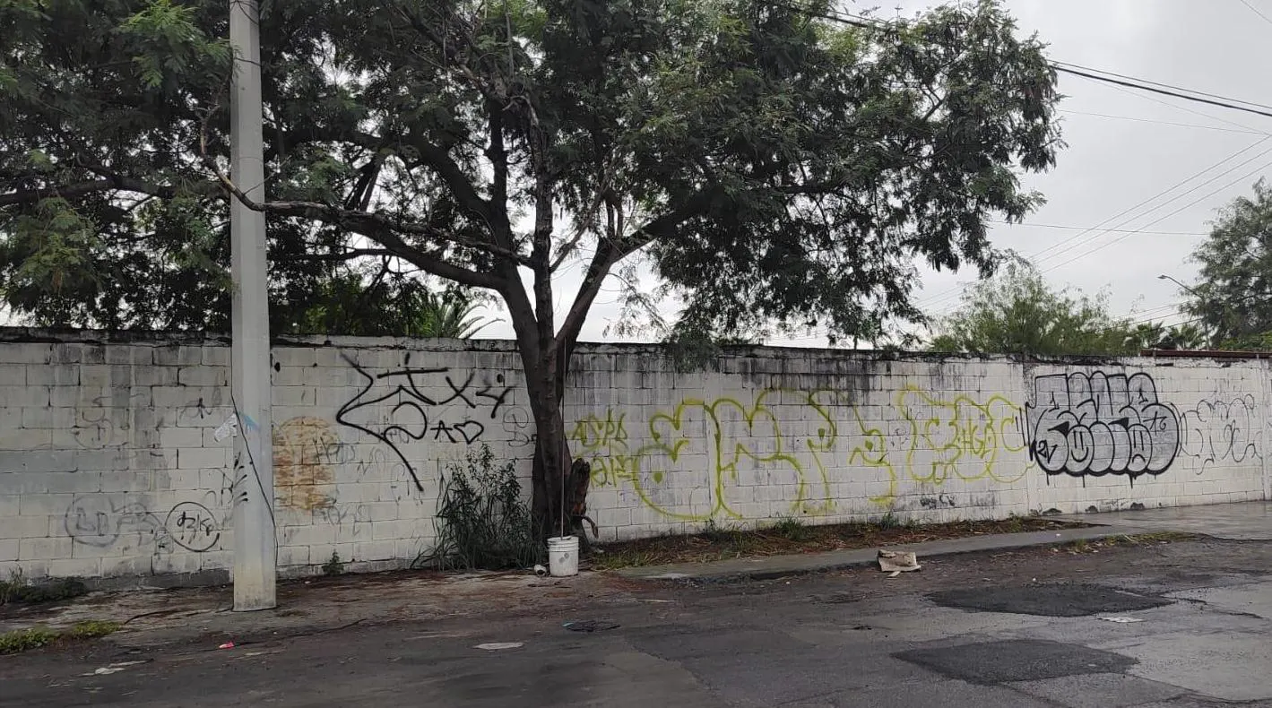 Terreno Spot2