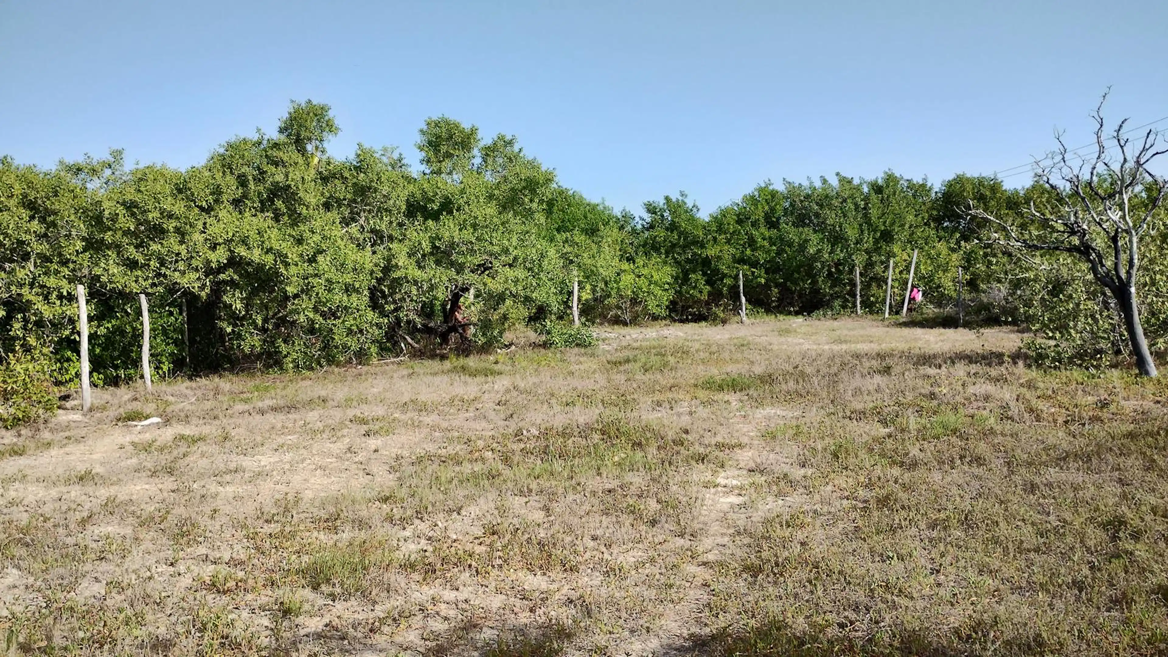 Lote Comercial En Venta En Holbox | Desarrolla Villas Eco-luxury En El Caribe Mexicano | P4068