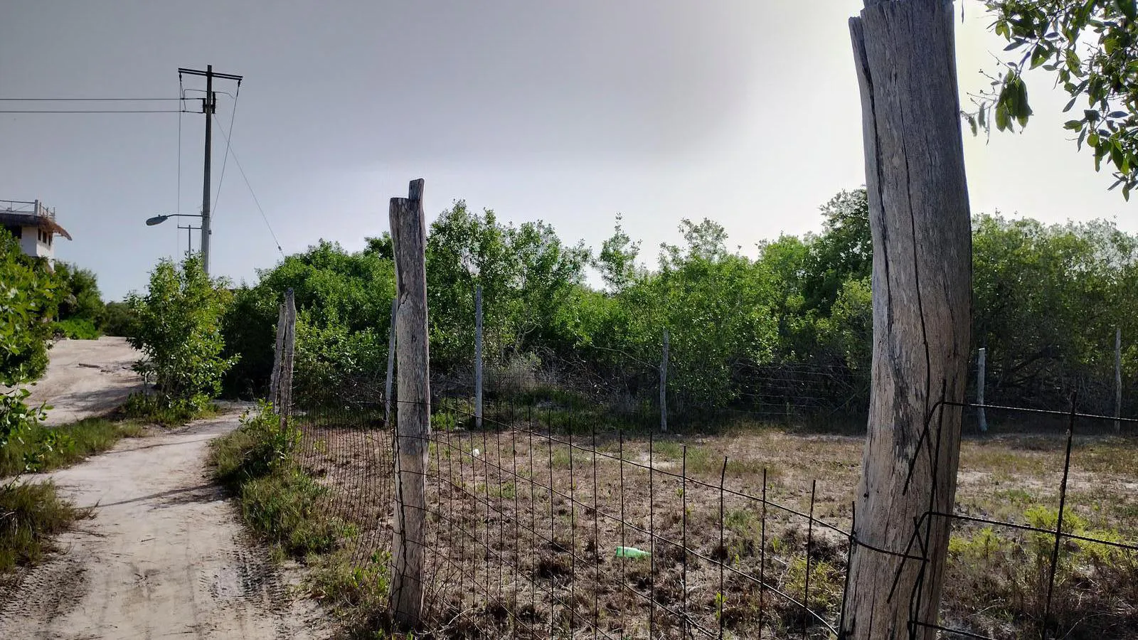 Terreno Spot2
