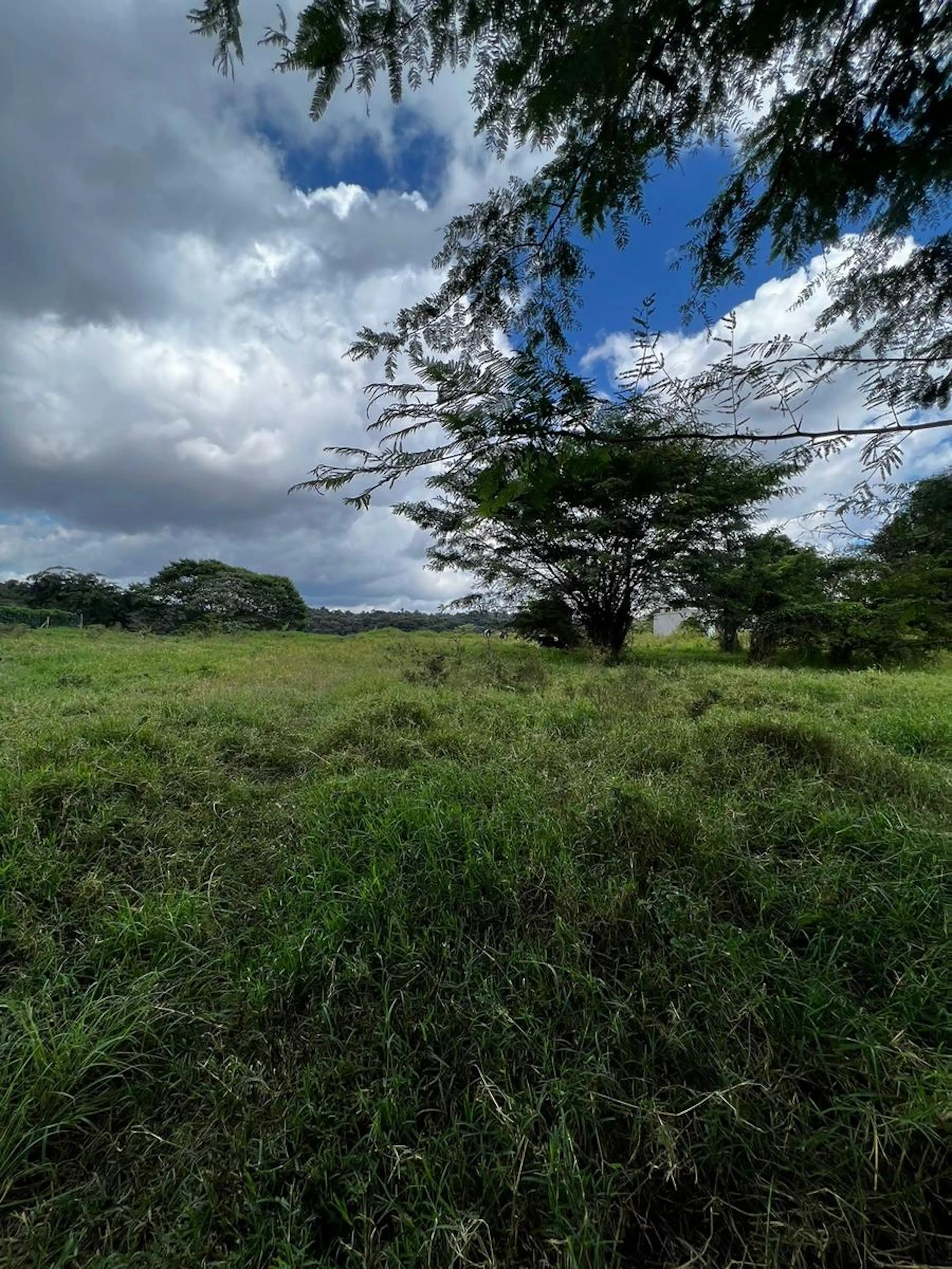 Terreno En Venta En Los Arenales Xalapa Veracruz