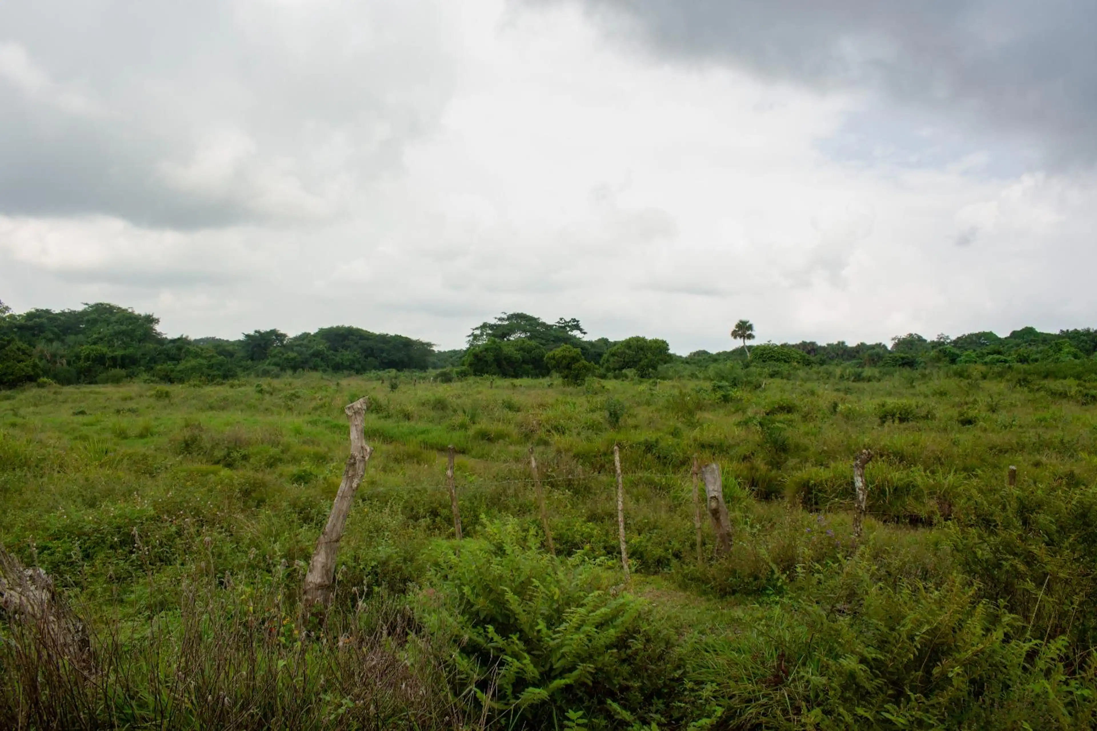 Terreno En Venta En La Laguna Medellín De Bravo Veracruz