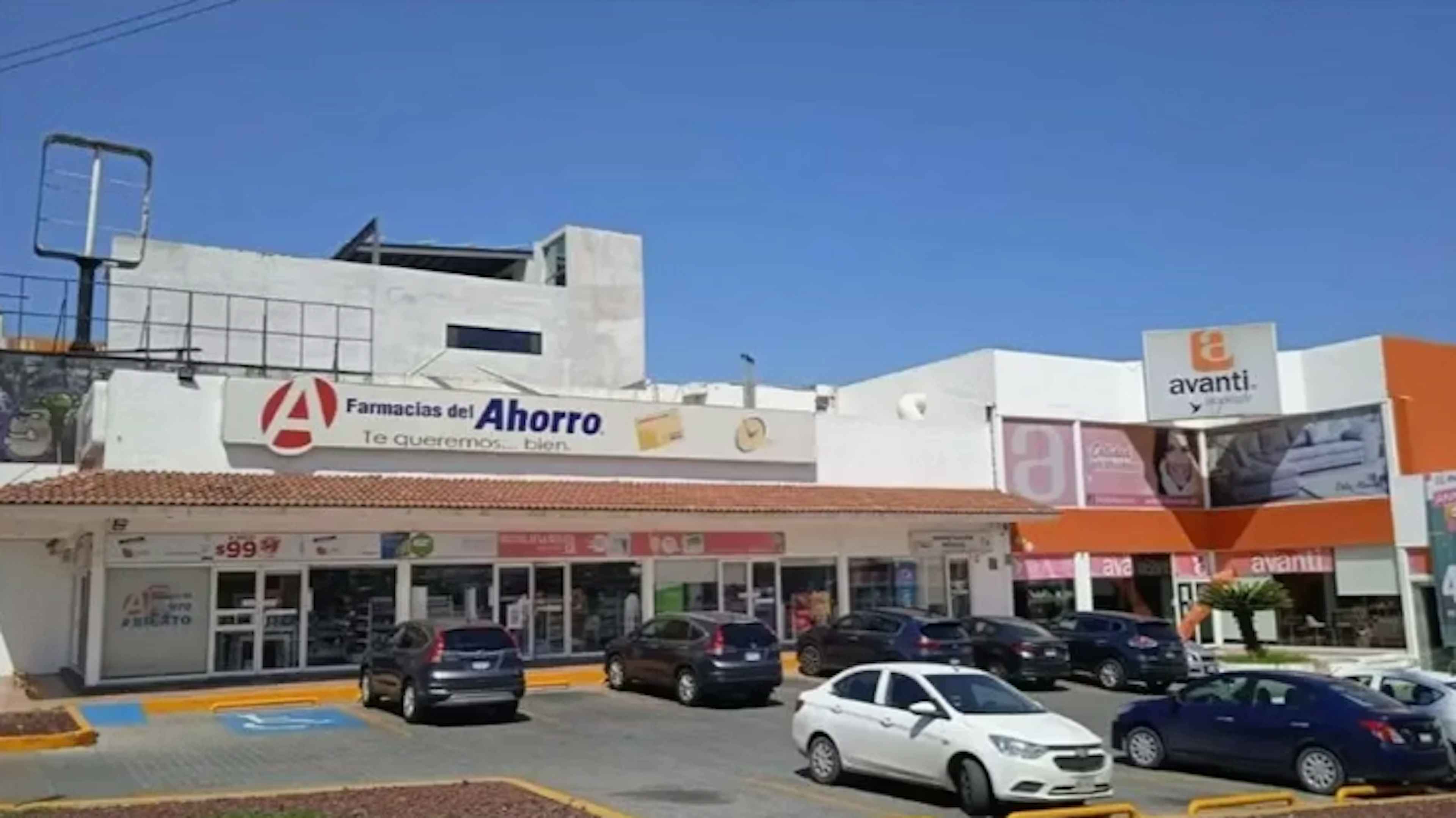 Avenida Paseo De Los Leones