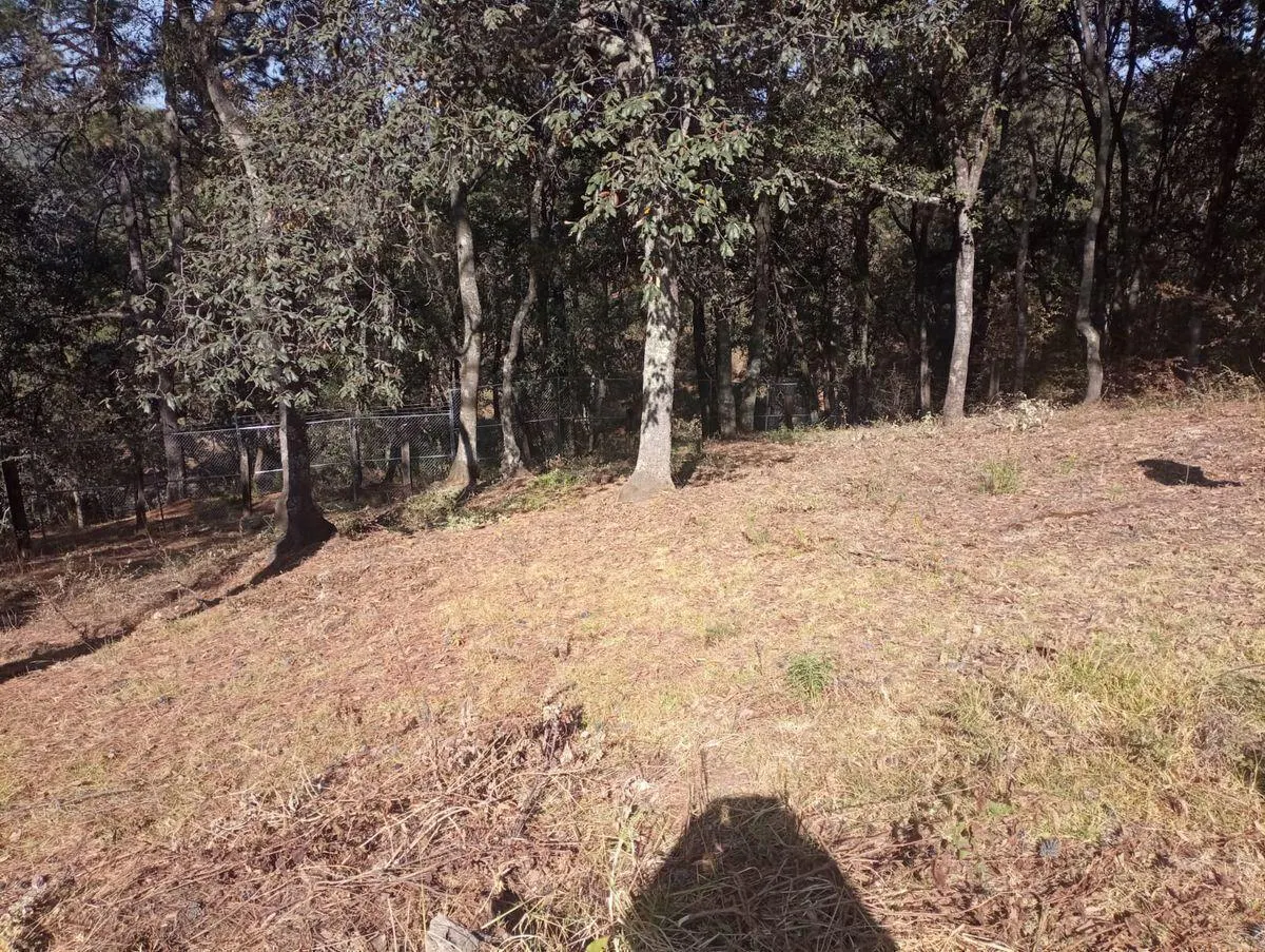 Terreno Spot2