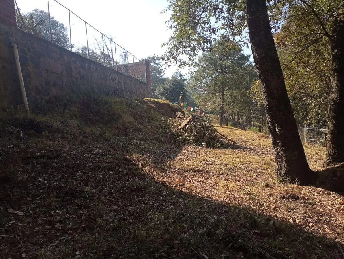 Terreno Spot2