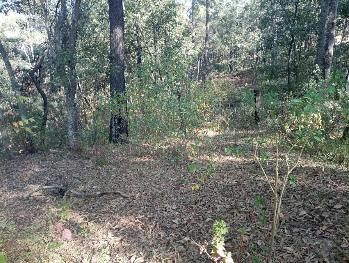Terreno Spot2