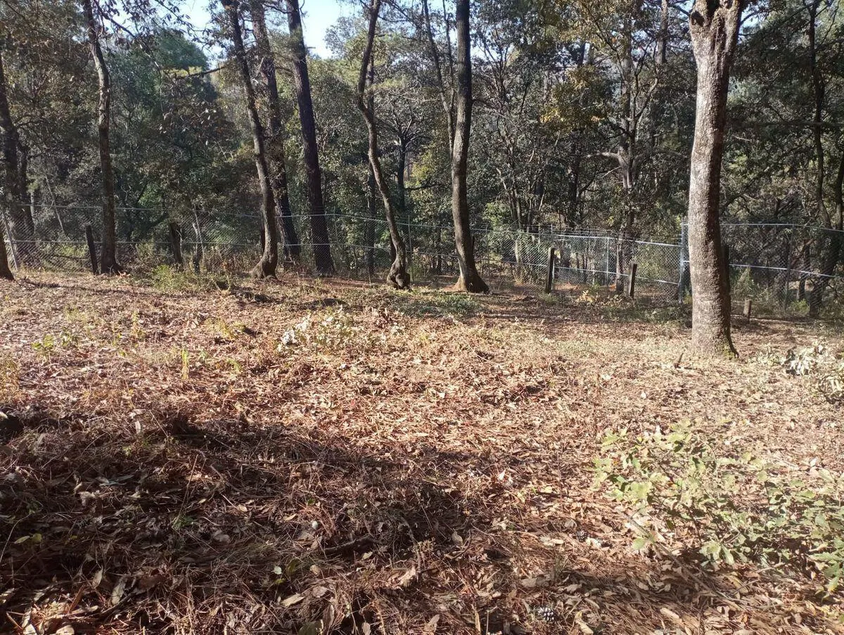 Terreno Spot2