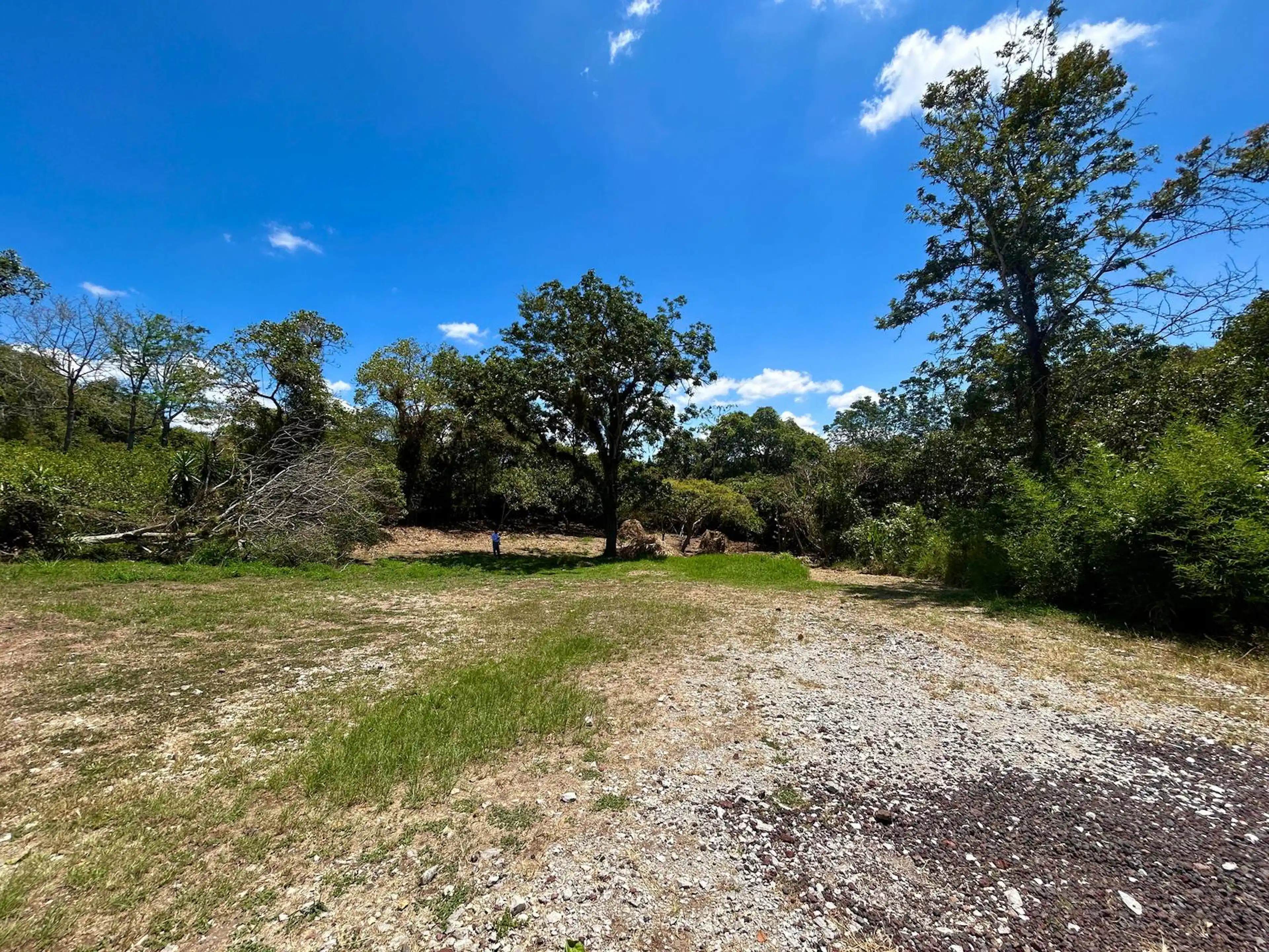 Terreno En Venta En Paso Ladrillo, Municipio De Emiliano Zapata Veracruz