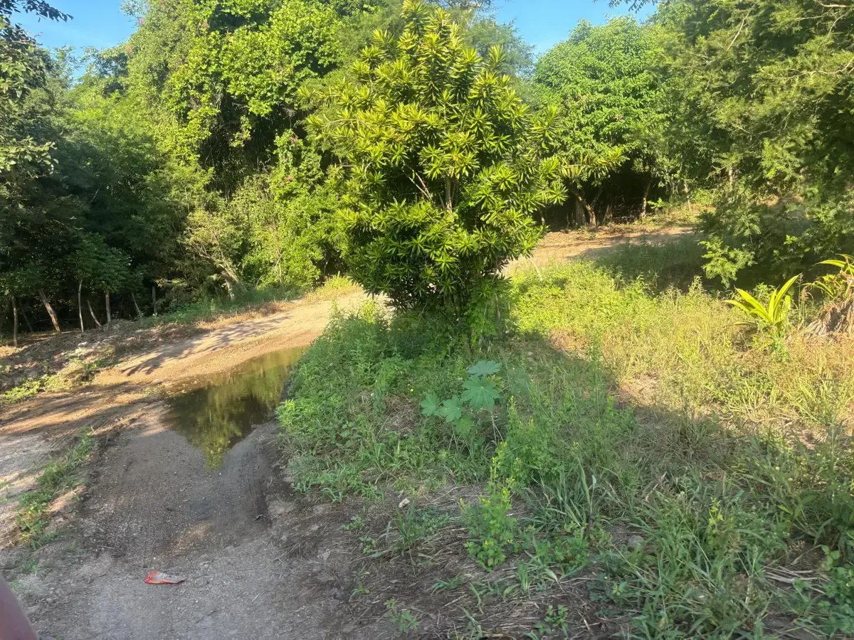 Terreno Spot2