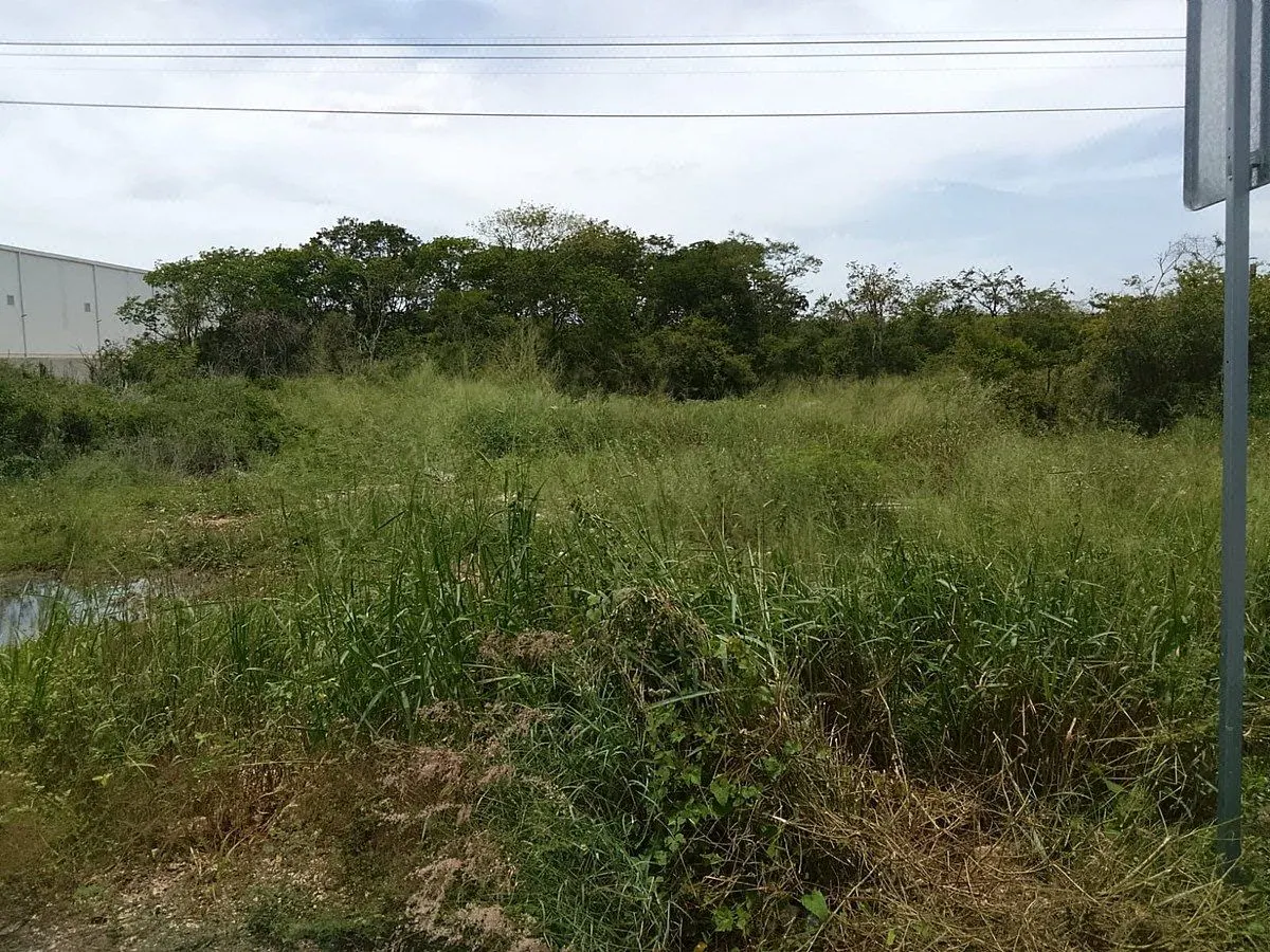 Terreno Spot2