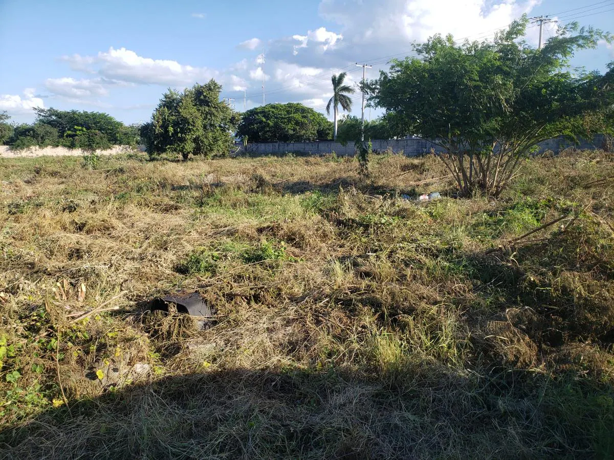 Terreno Spot2