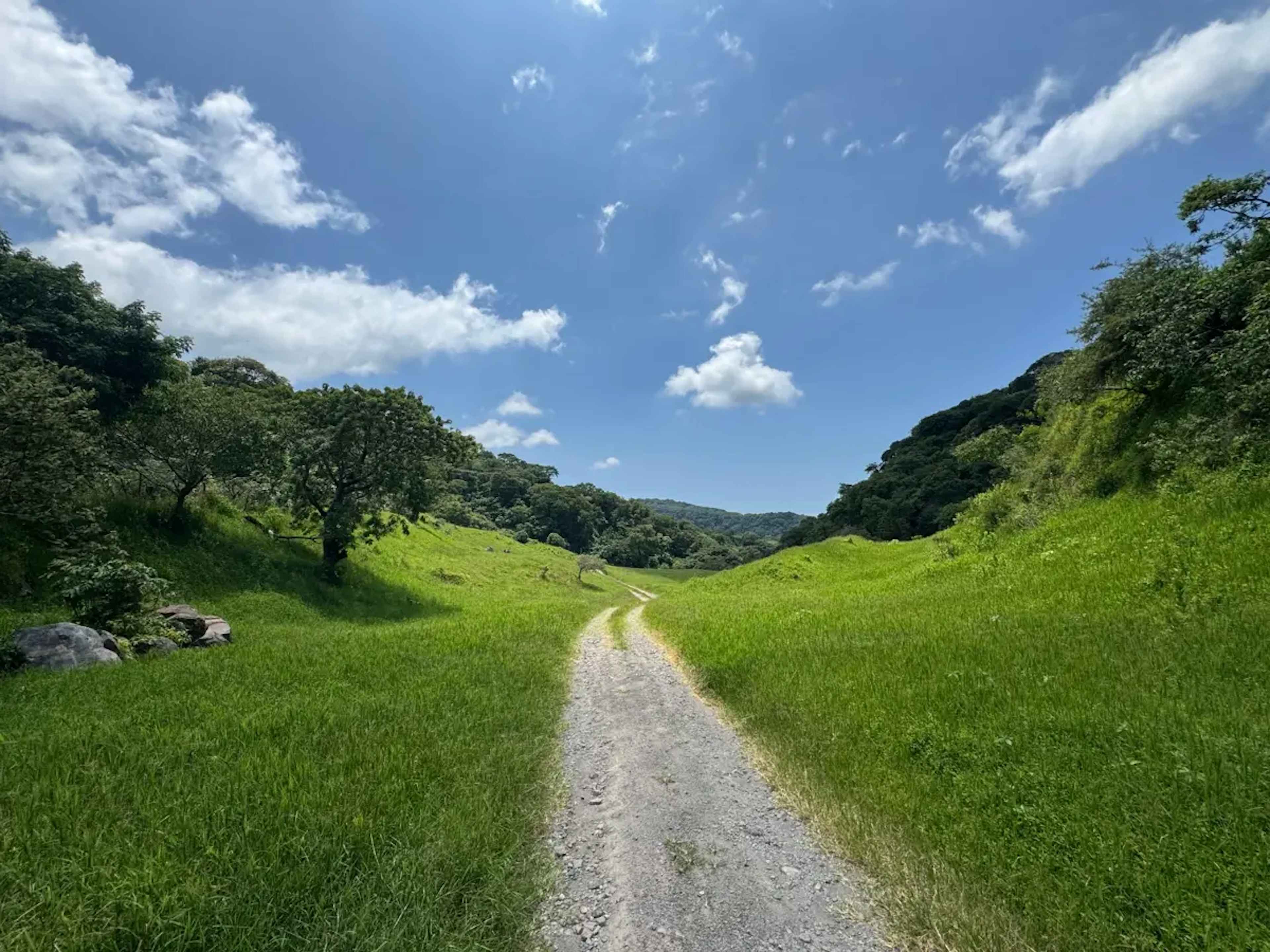 Terreno En Venta En Comala, Comala, Colima