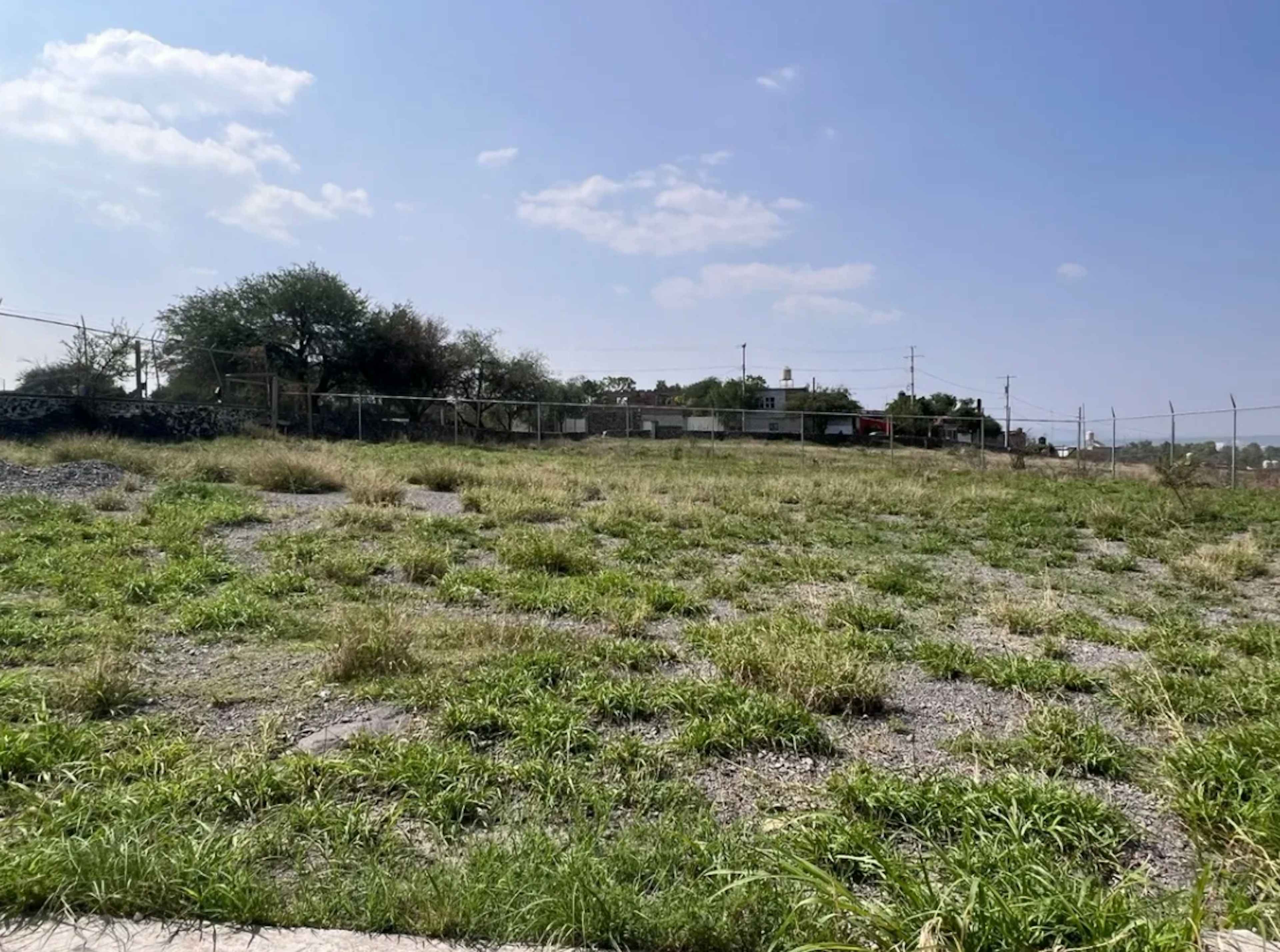 Calle 20 De Noviembre