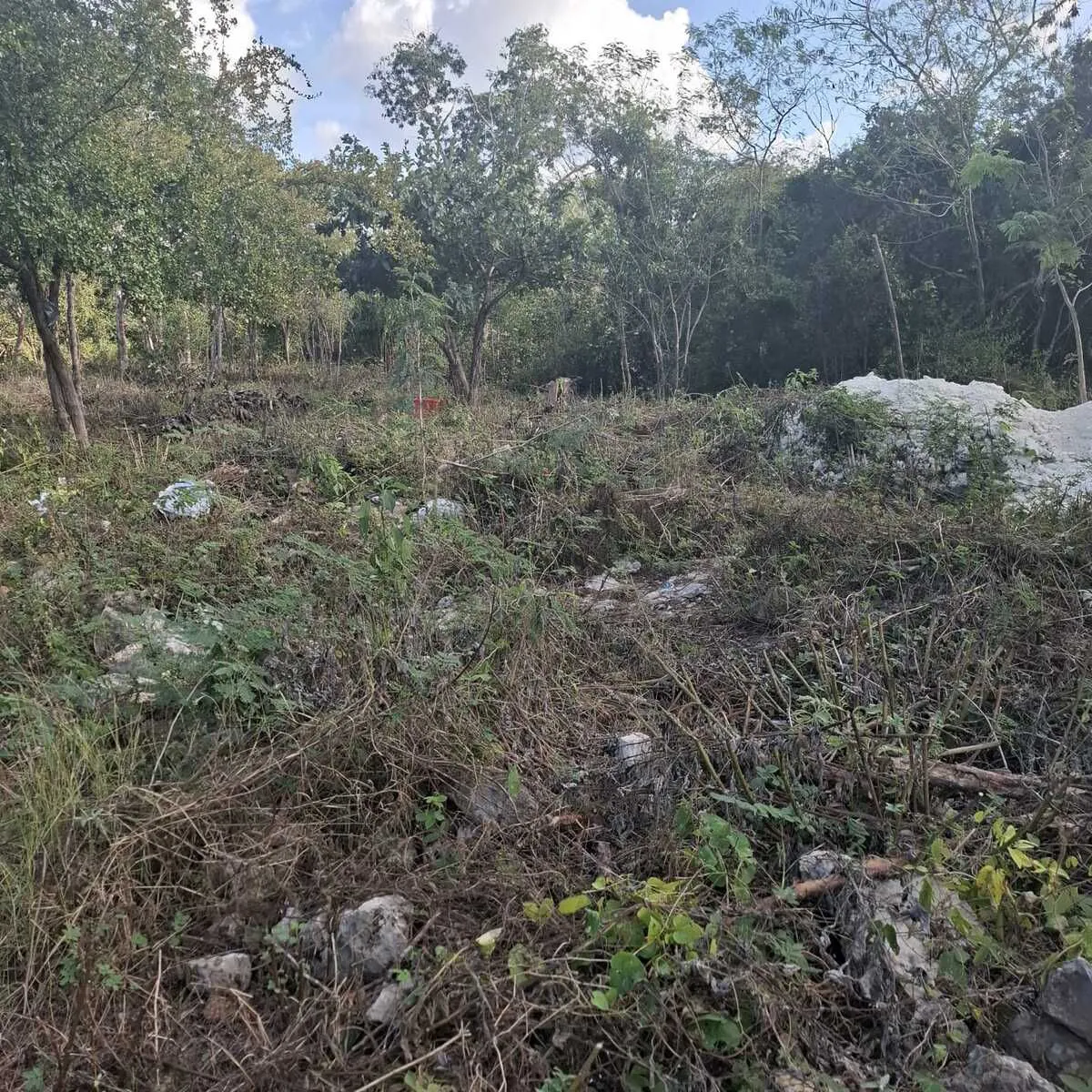 Terreno Spot2