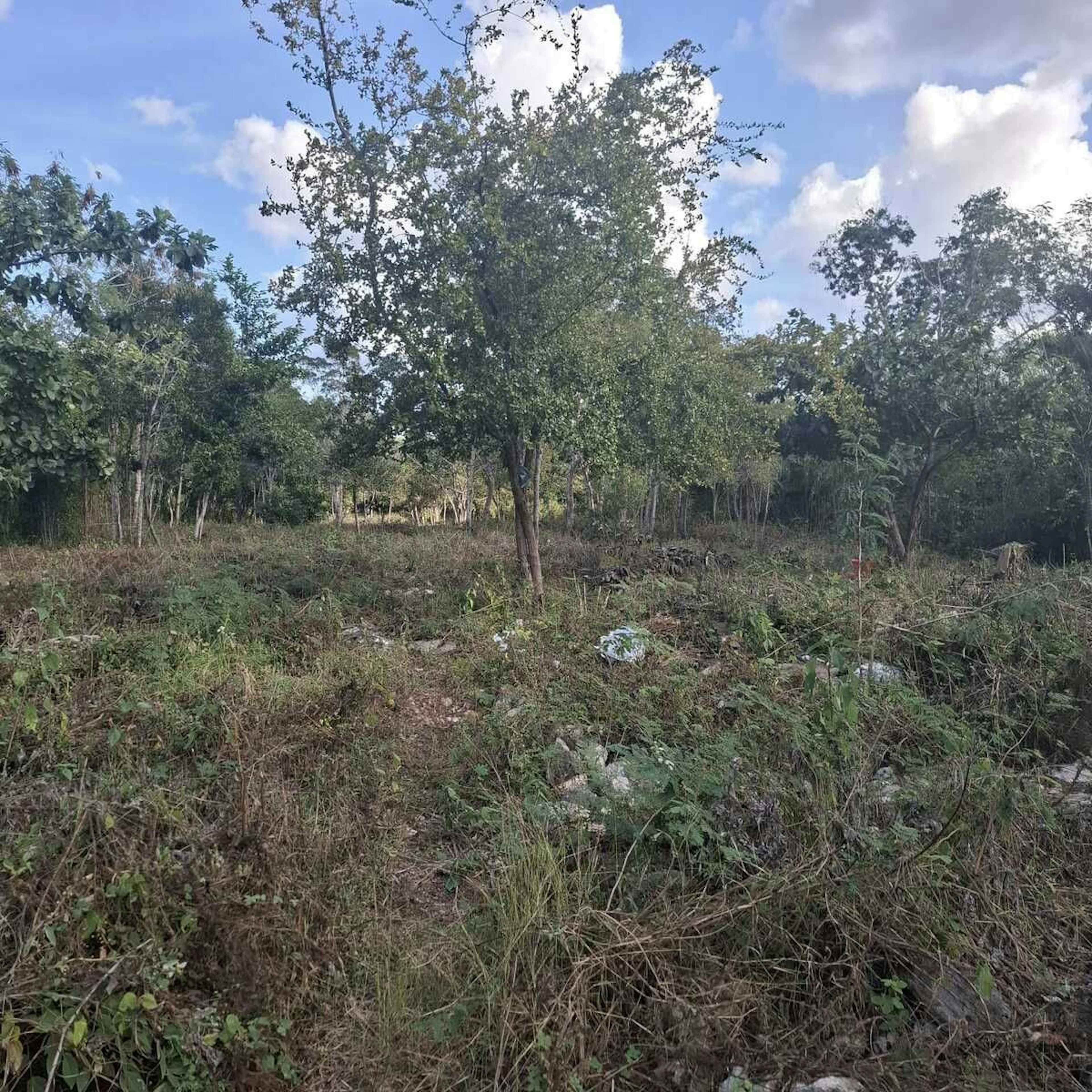 20x100 Con Luz, Salida A Dos Calles.