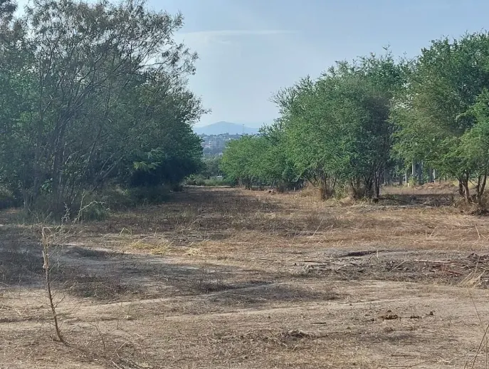 Terreno Spot2