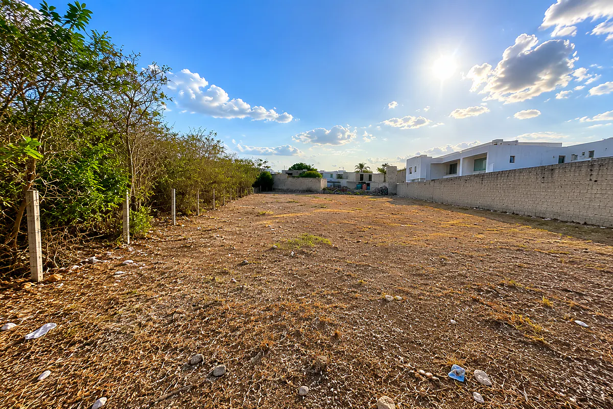 Terreno Spot2