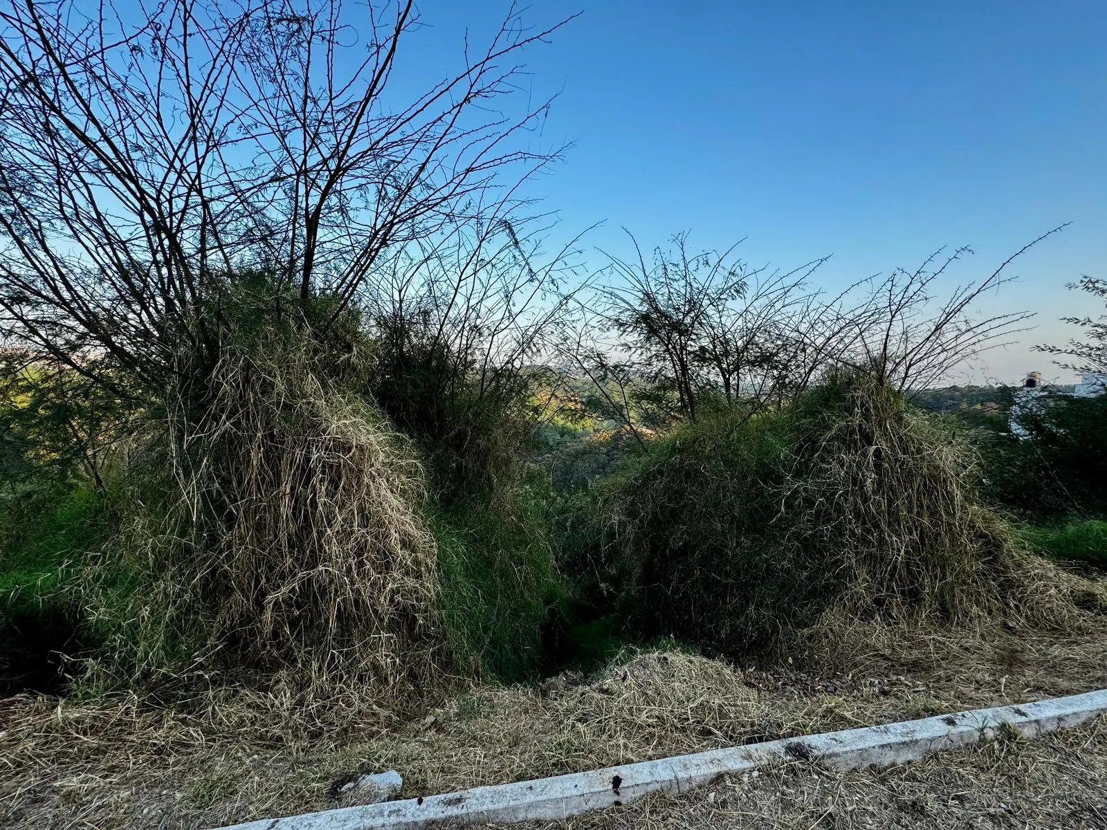 Terreno Spot2