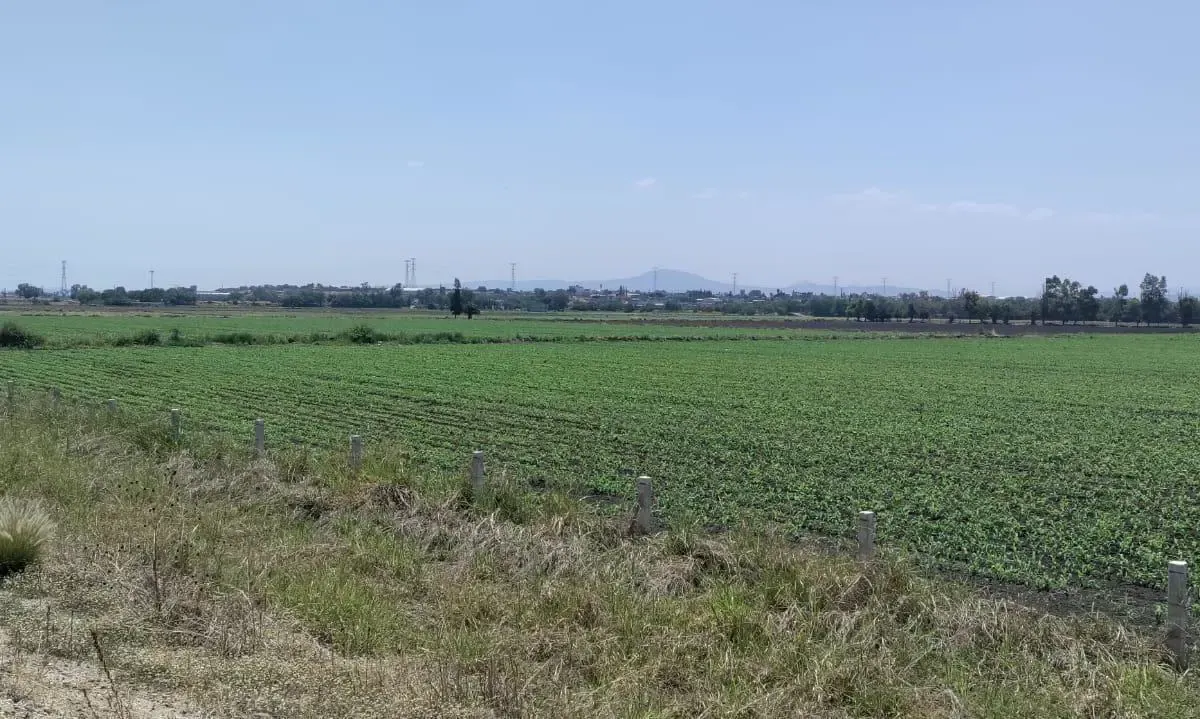 Terreno Spot2