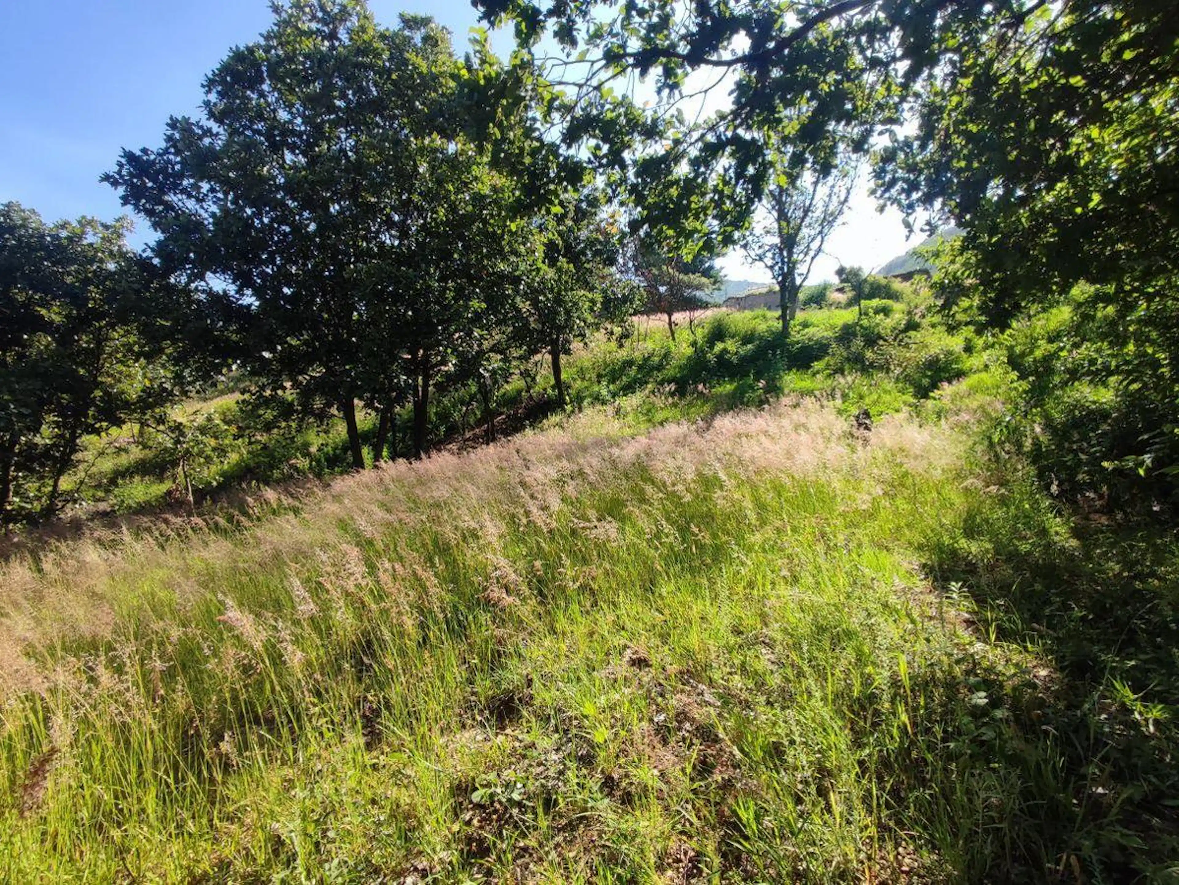 Terreno En Venta En San Felipe Del Agua