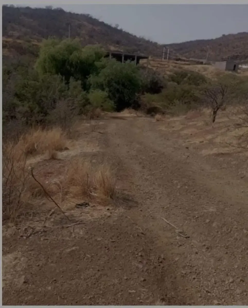 Terreno Spot2