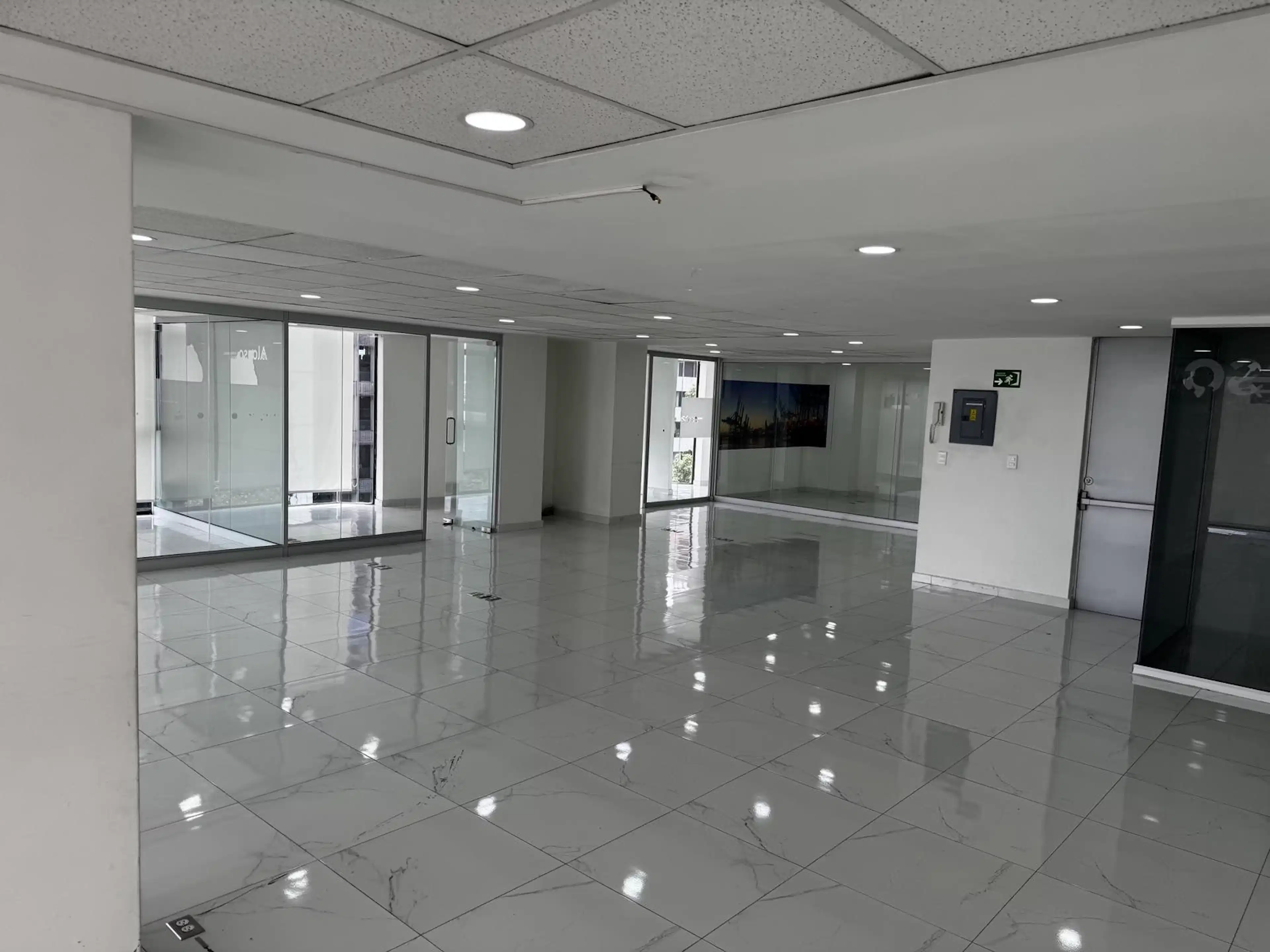 Insurgentes  Al 600 600