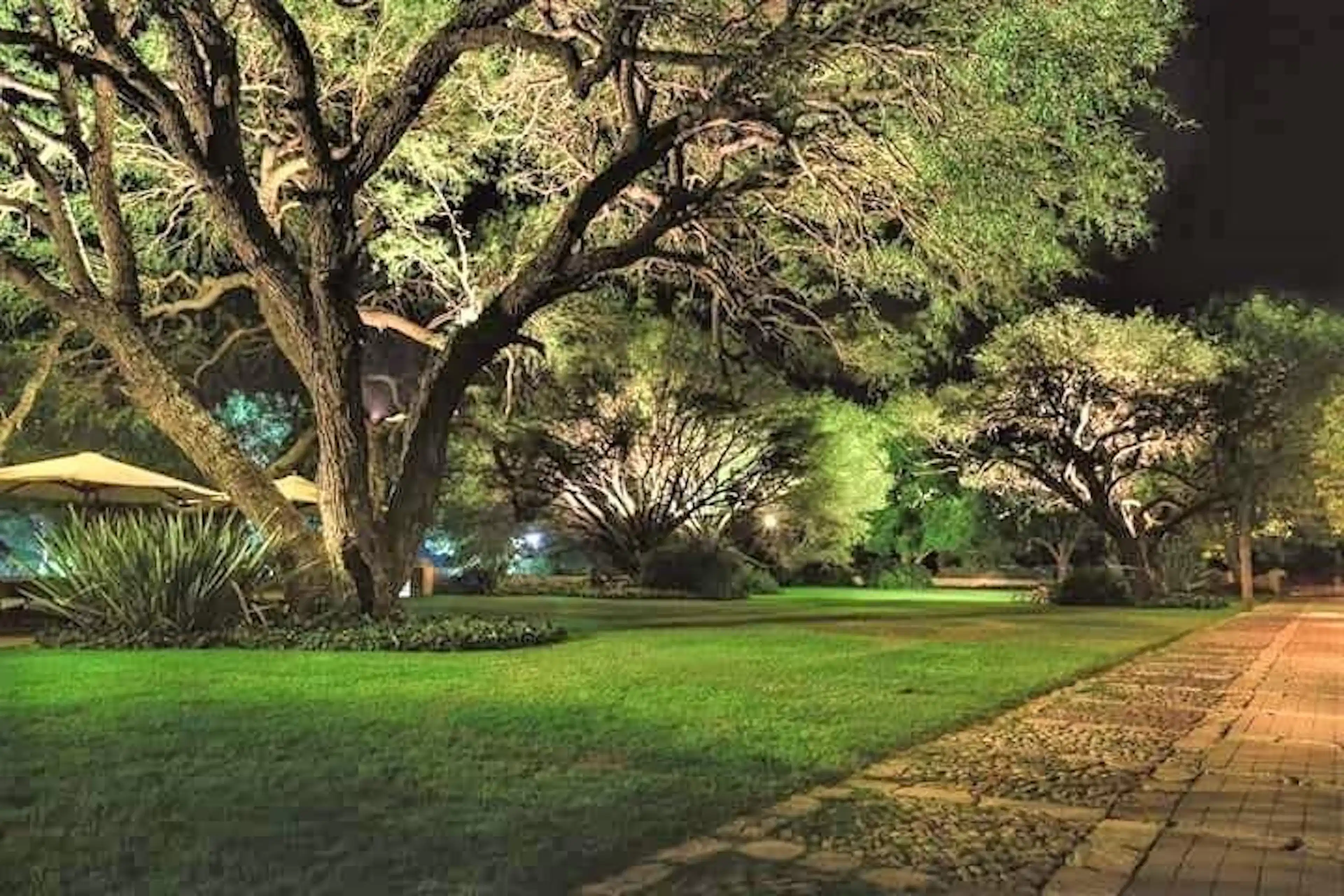 Terreno En Venta Con Viñedo En Querétaro