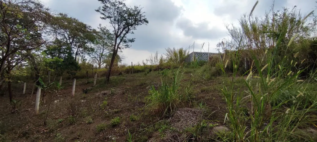 Terreno Spot2