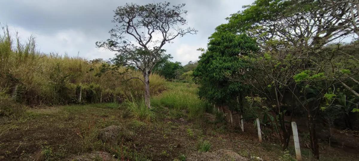 Terreno Spot2