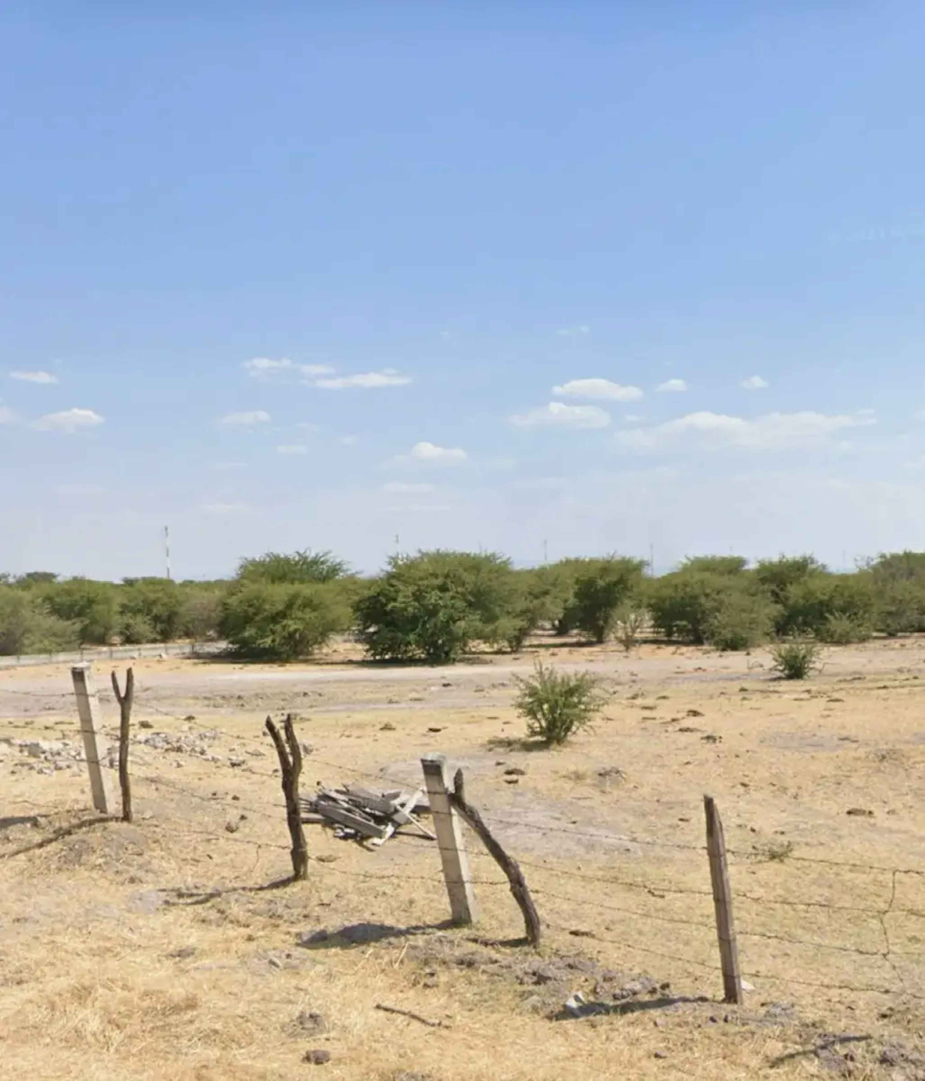 Terreno En Venta En Don Luis Sandoval [granja], Durango, Durango