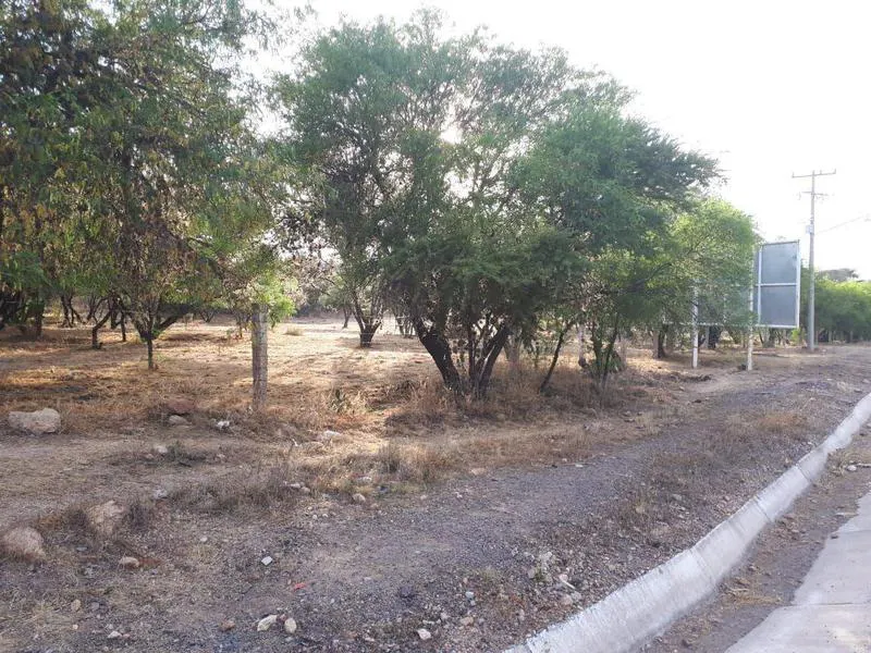 Terreno Spot2