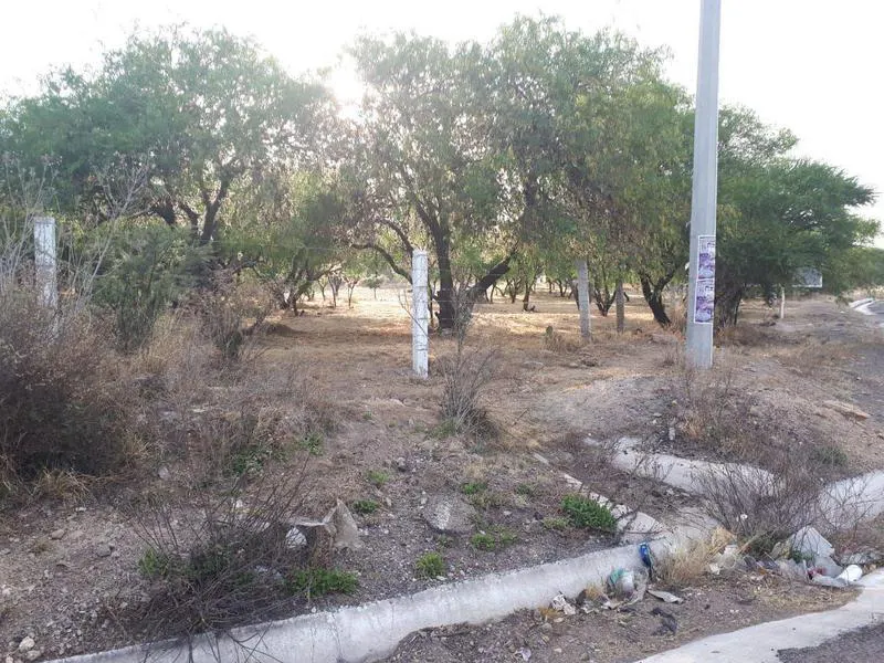 Terreno Spot2