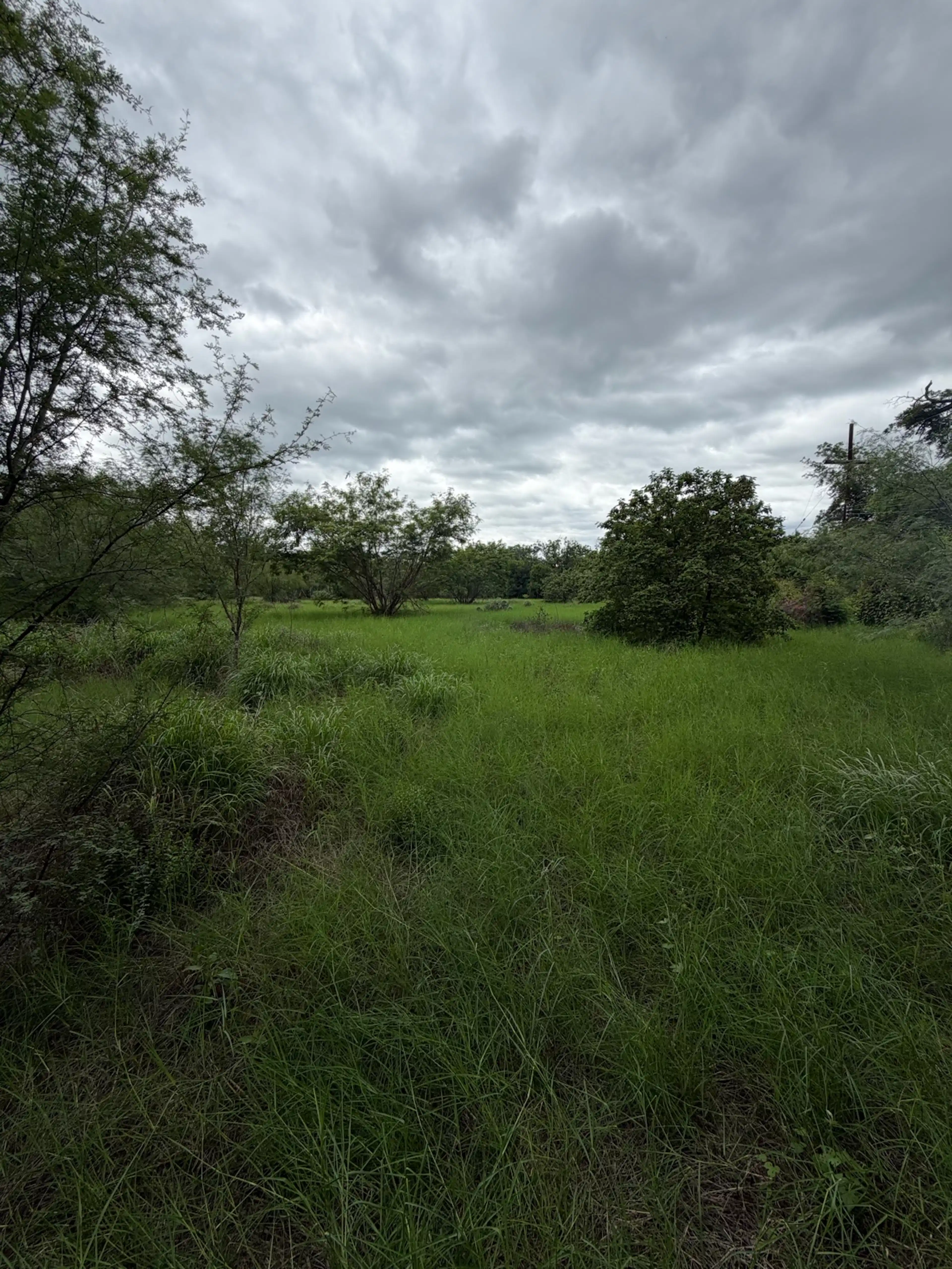Terreno en Venta Doctor González Nuevo León.
