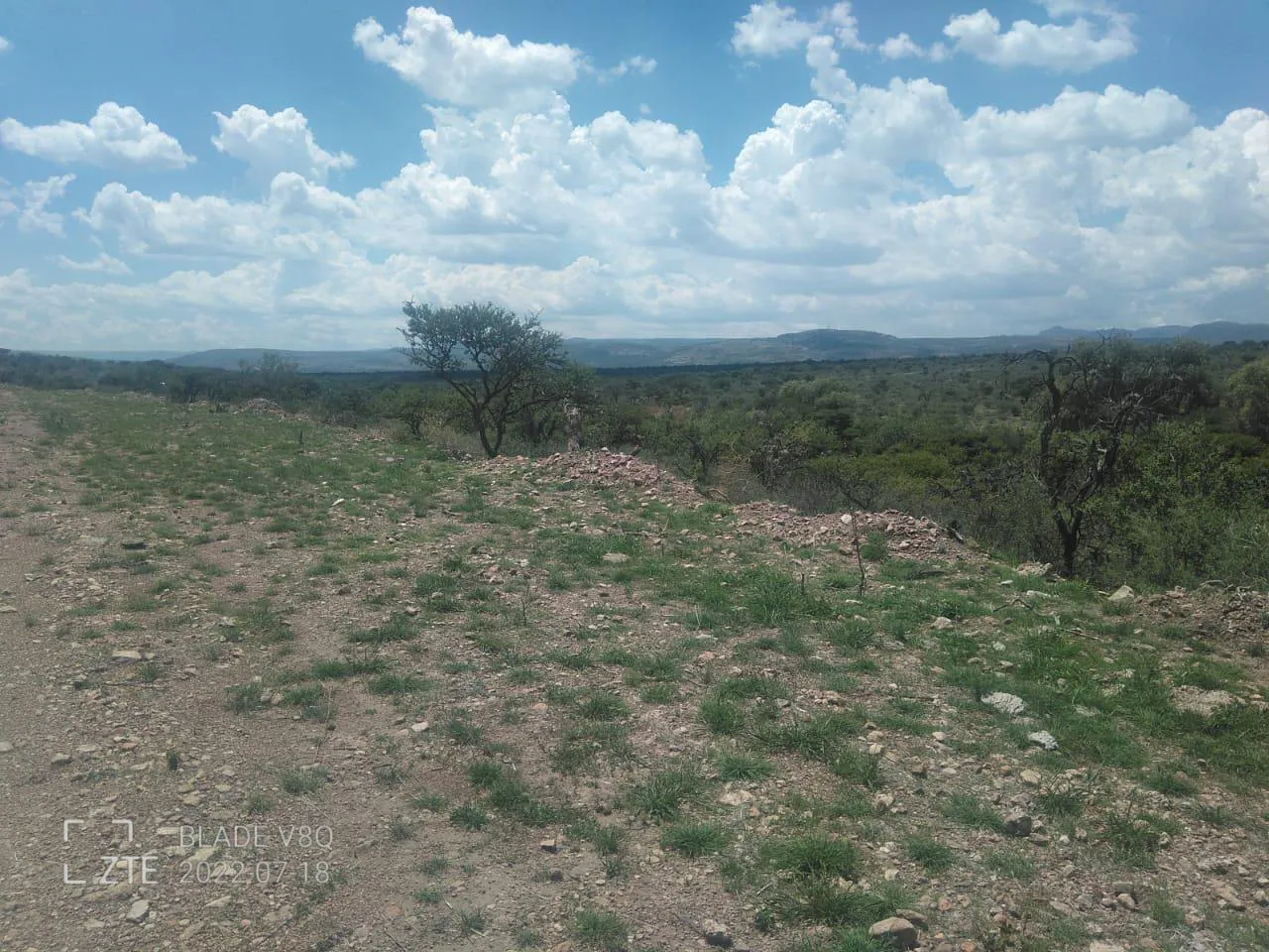 Terreno Spot2
