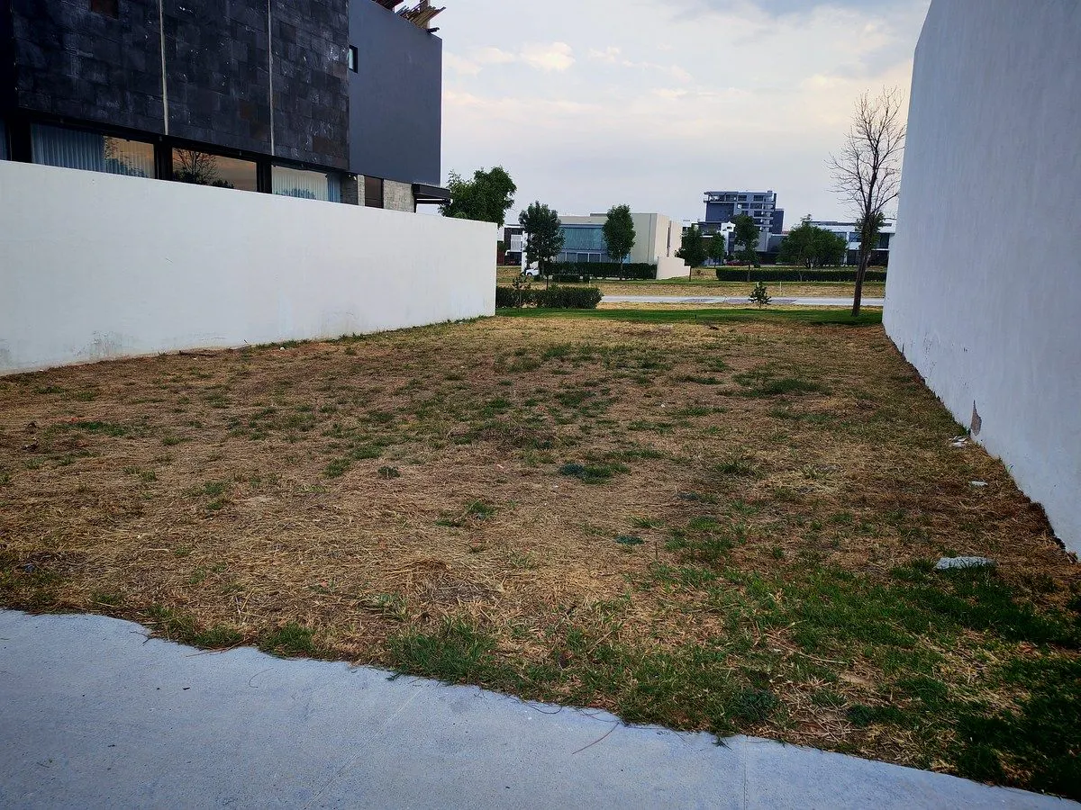 Terreno Spot2
