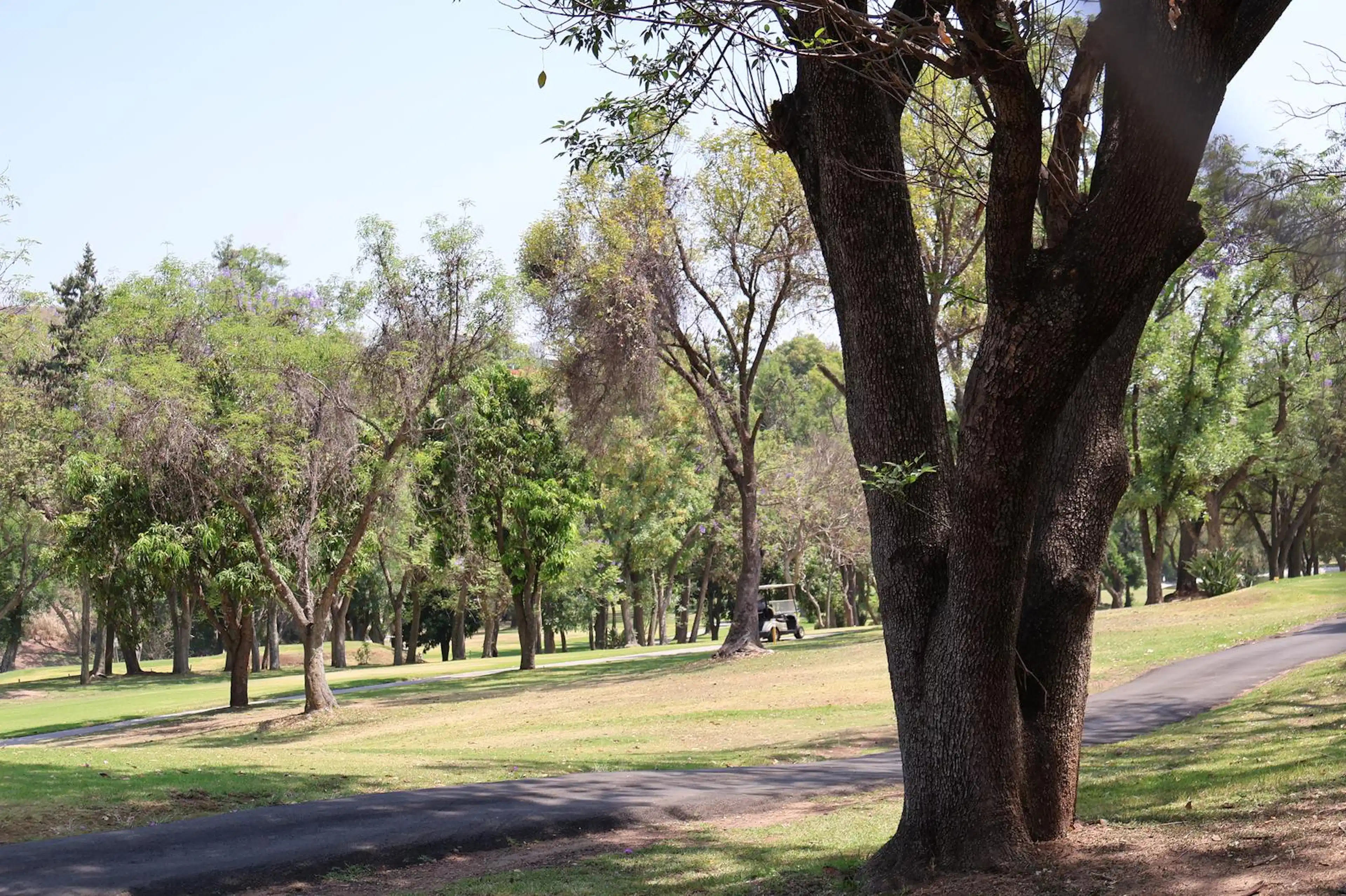 Terreno En Fracc. Las Cañadas, Zapopan, Jalisco.