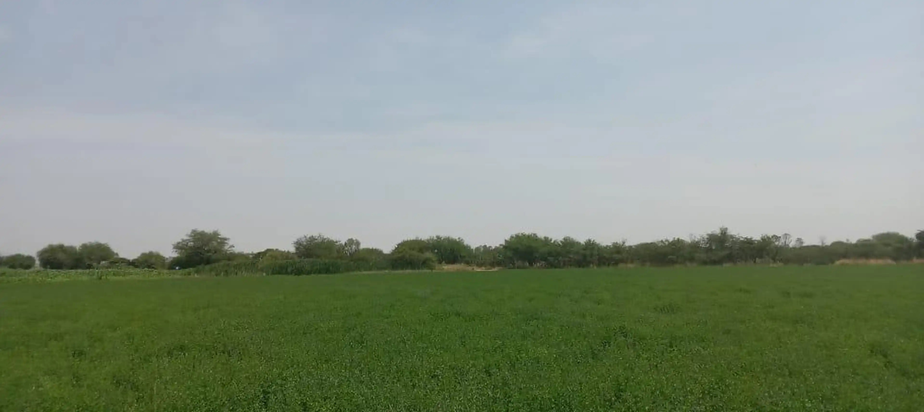Terreno en Ejido El Tanque de los Jimenez, Aguascalientes