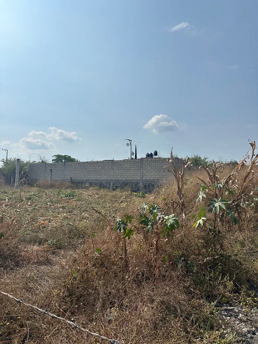 Terreno Spot2