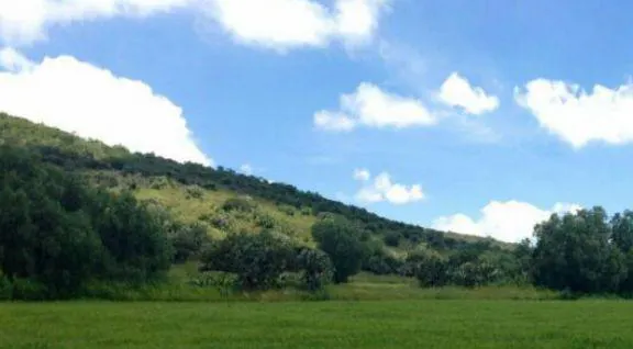 Terreno Spot2