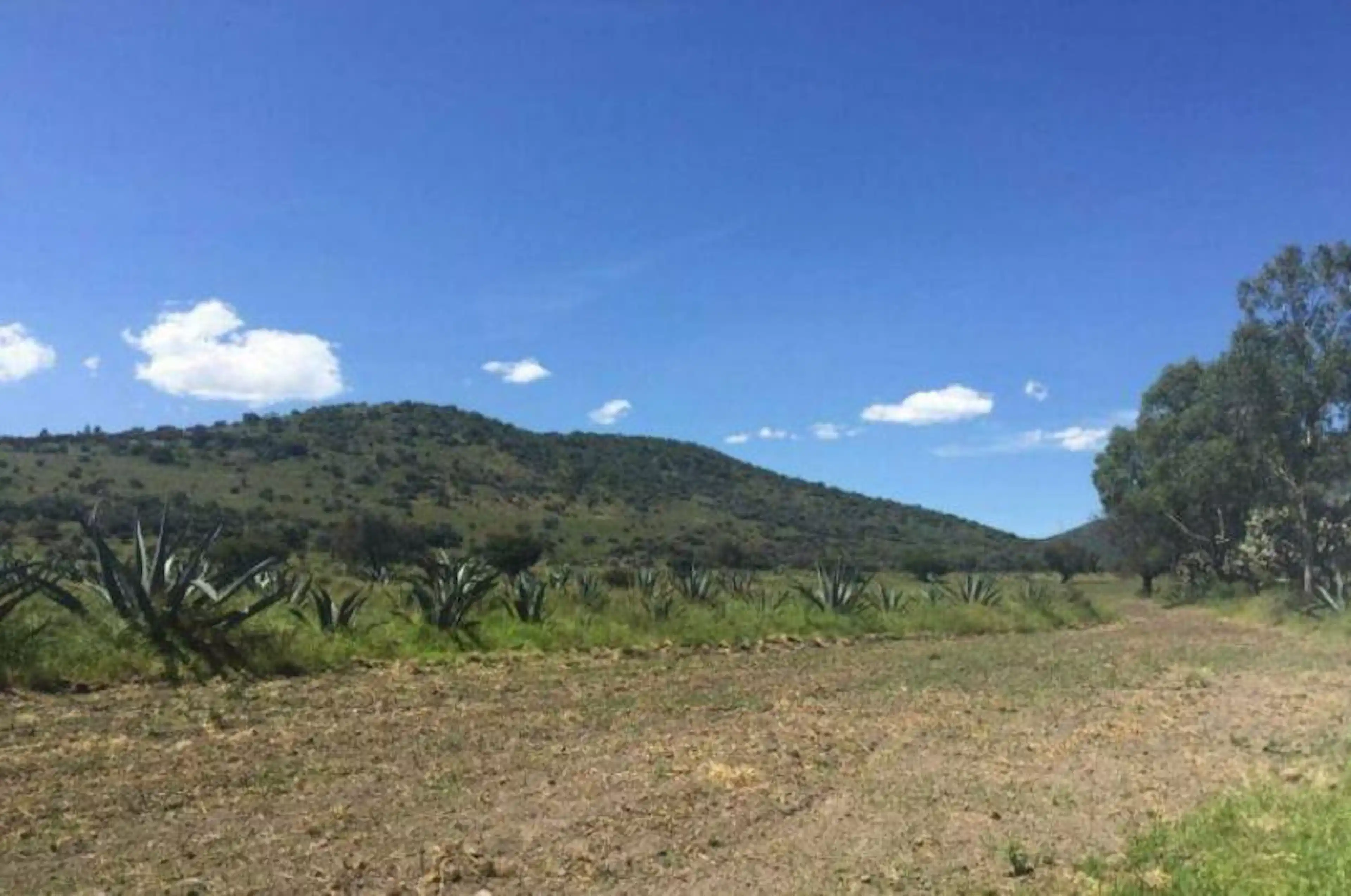 En Venta 2 Terrenos En Jolalpán, Municipio De Tepetlaoxtoc, Texcoco, Edo. De México. C3021