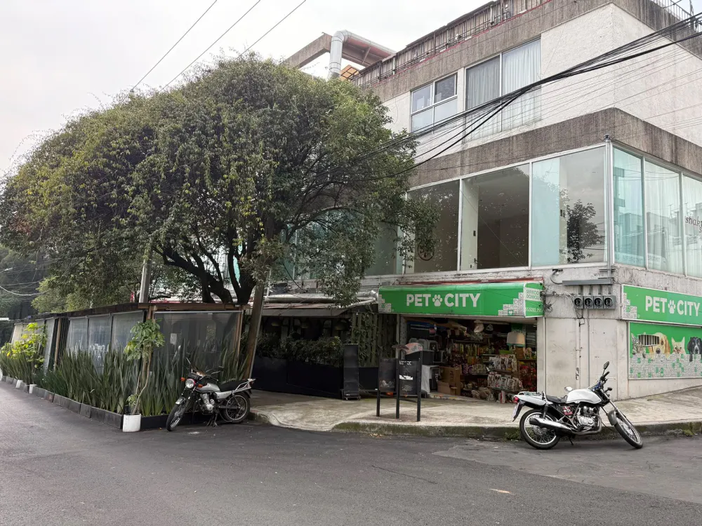 Local Comercial Spot2