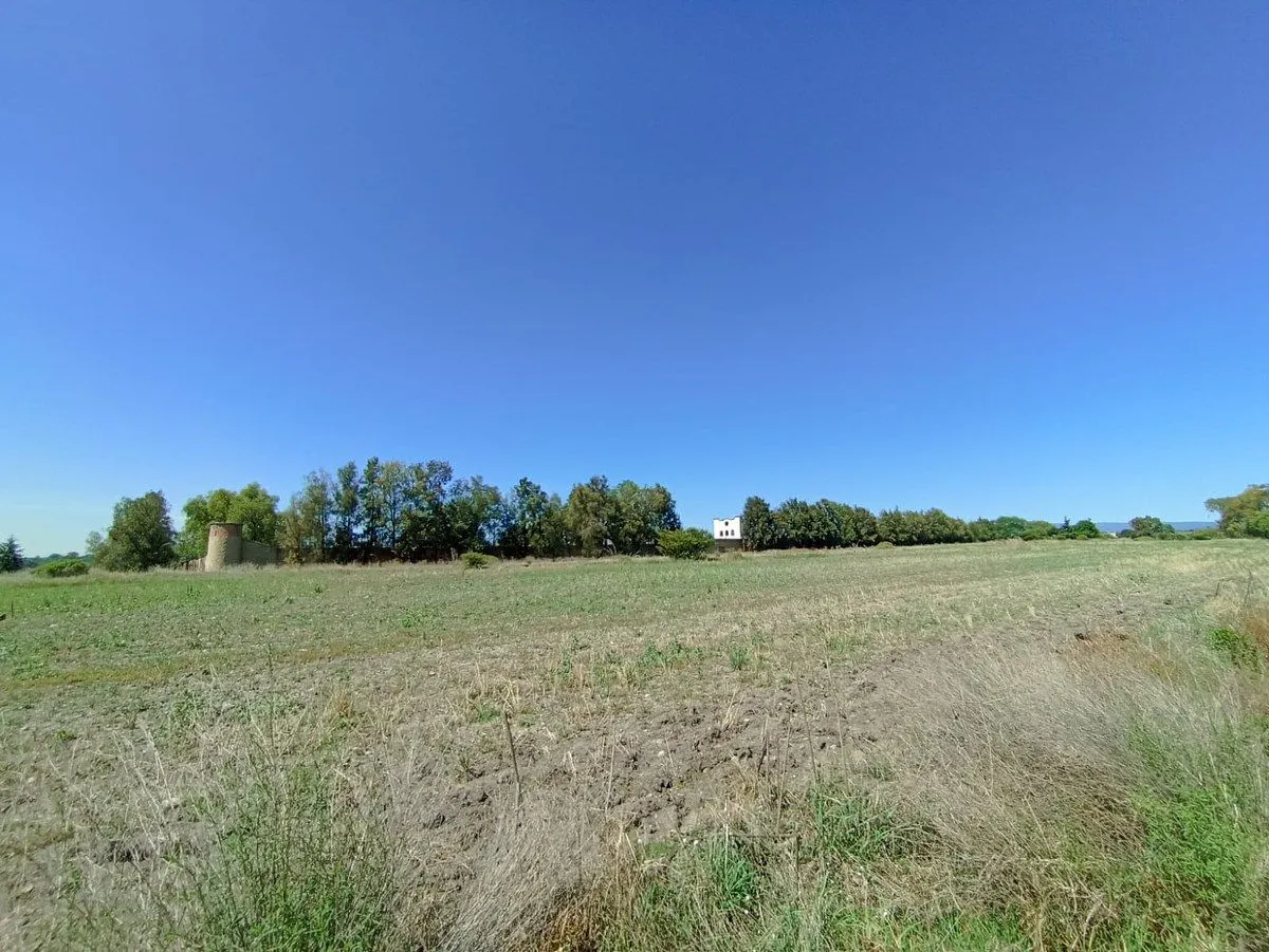 Terreno Spot2