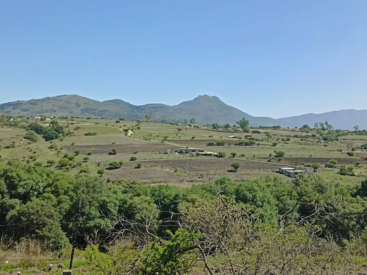 Terreno Spot2