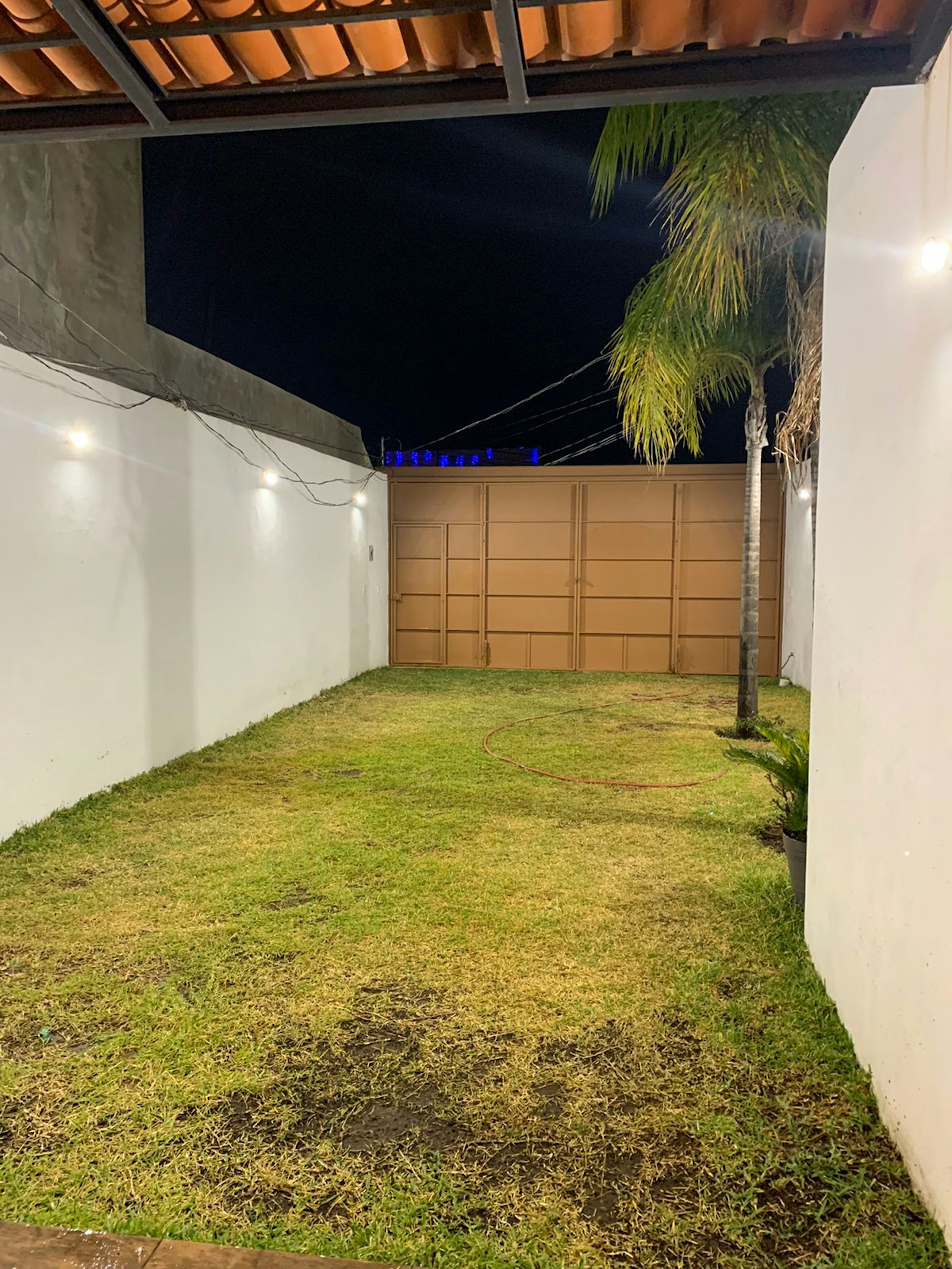 Espacioso jardín trasero de una propiedad residencial, iluminado por luces exteriores, con césped verde y una palmera. Ideal para actividades al aire libre y reuniones familiares.