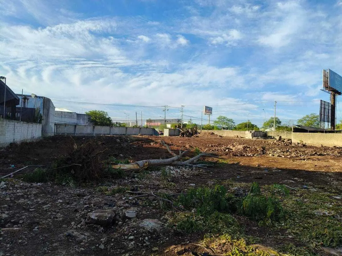 Terreno Spot2