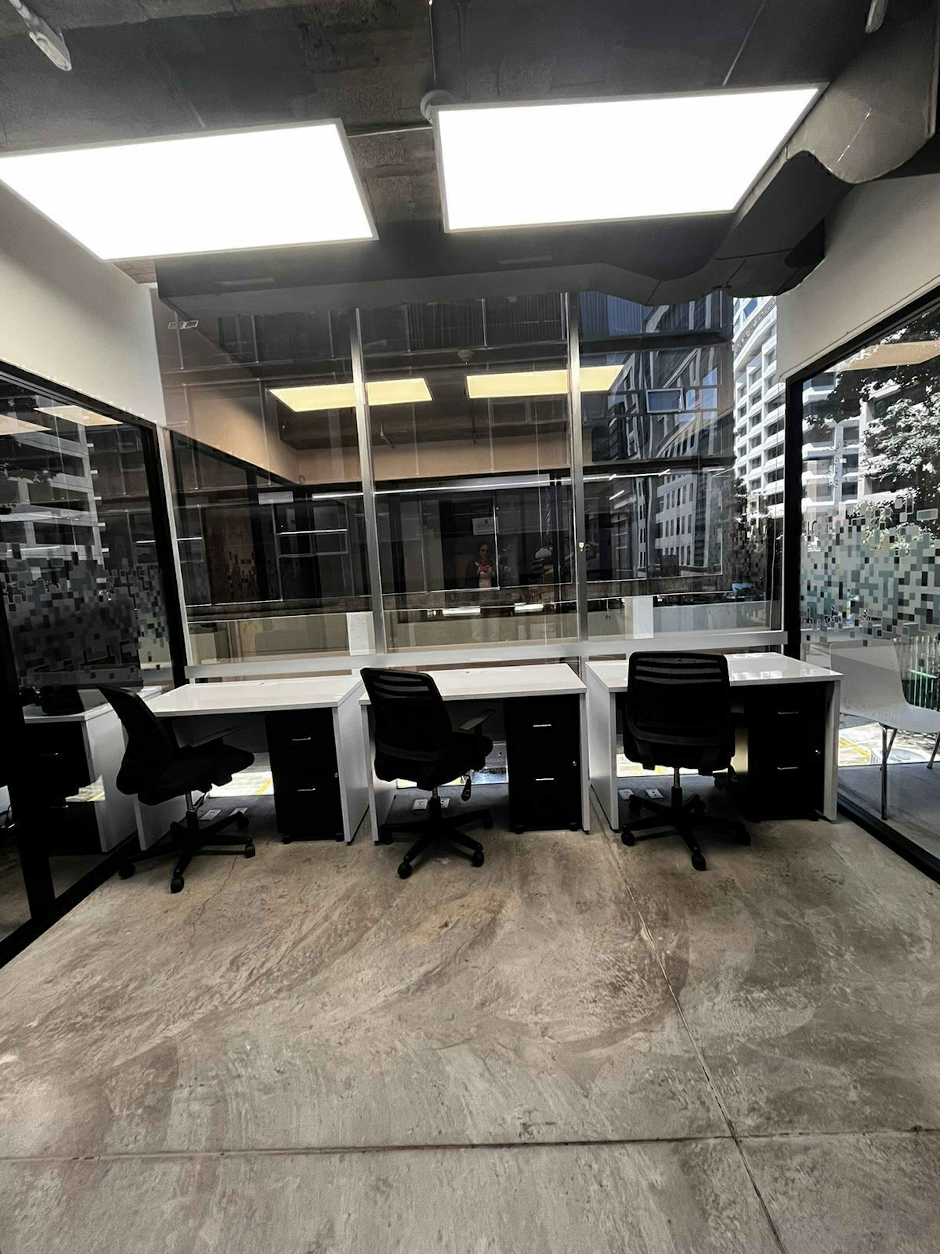 Bosque De Abetos 160